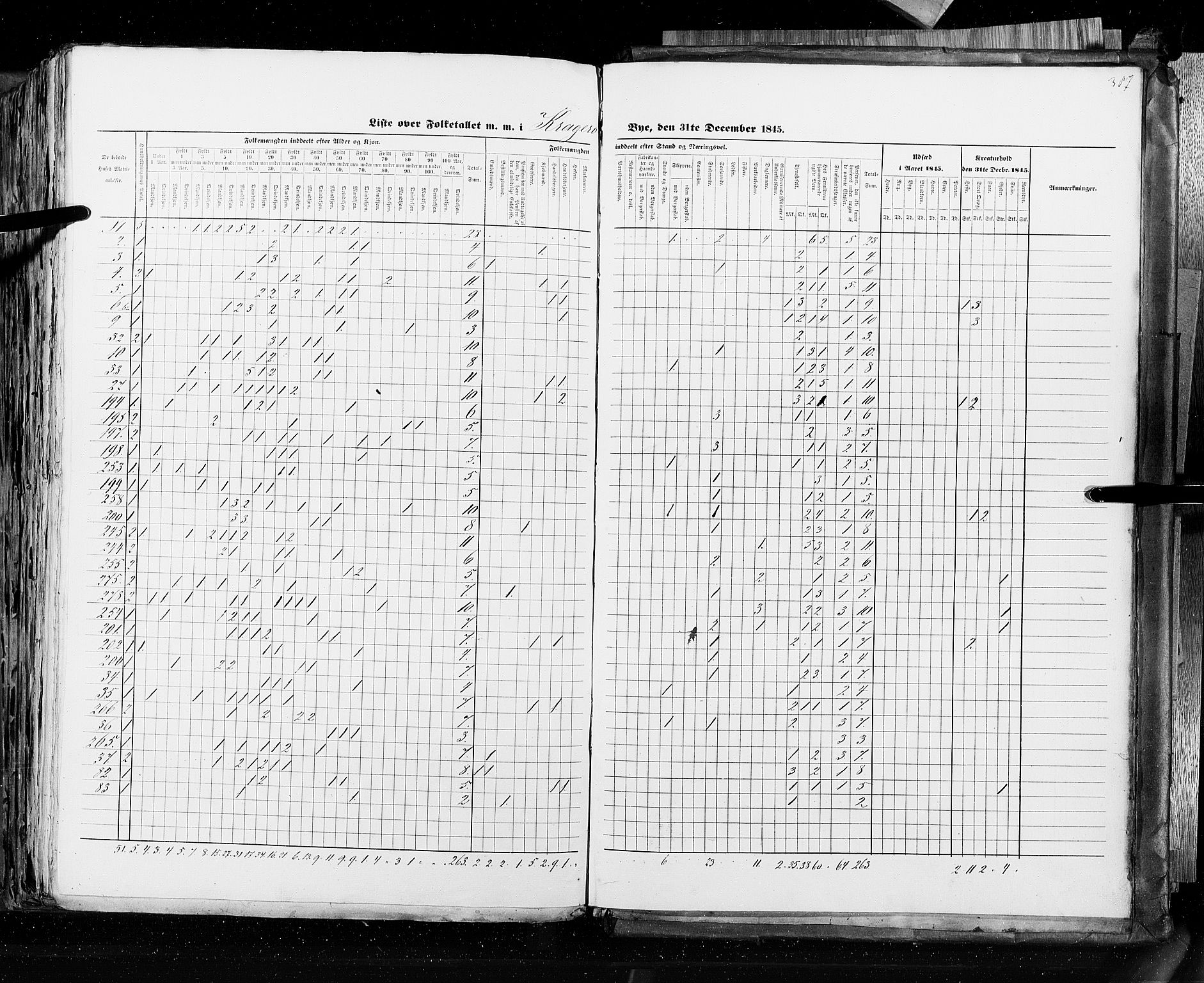 RA, Census 1845, vol. 10: Cities, 1845, p. 387