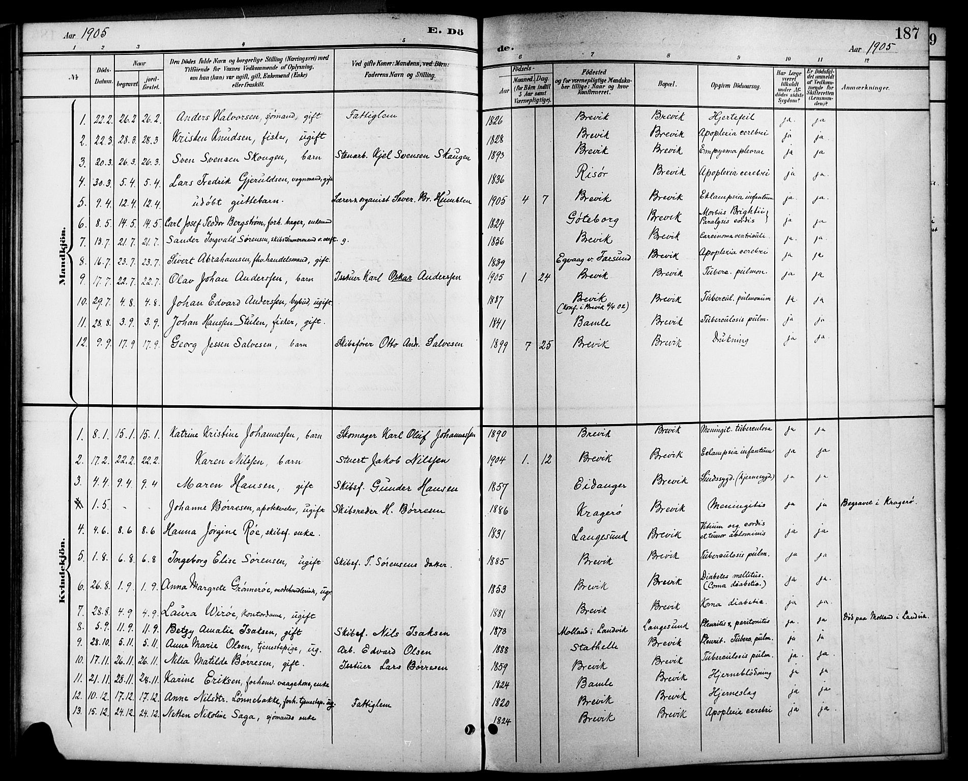 Brevik kirkebøker, SAKO/A-255/G/Ga/L0005: Parish register (copy) no. 5, 1901-1924, p. 187