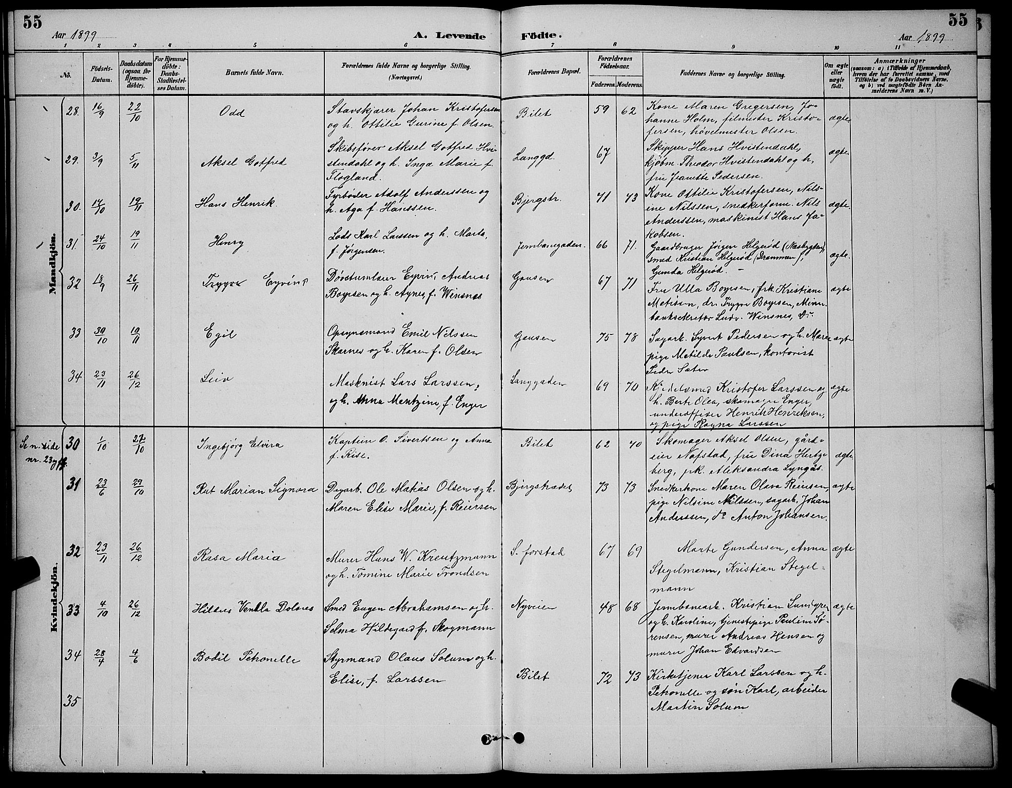 Holmestrand kirkebøker, AV/SAKO-A-346/G/Ga/L0005: Parish register (copy) no. 5, 1889-1901, p. 55