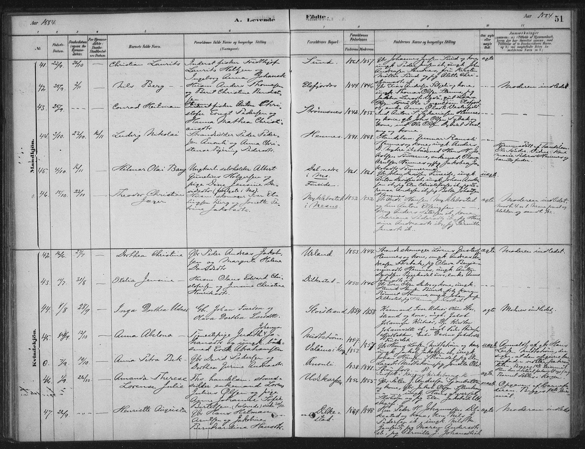 Ministerialprotokoller, klokkerbøker og fødselsregistre - Nordland, AV/SAT-A-1459/825/L0361: Parish register (official) no. 825A15, 1878-1893, p. 51