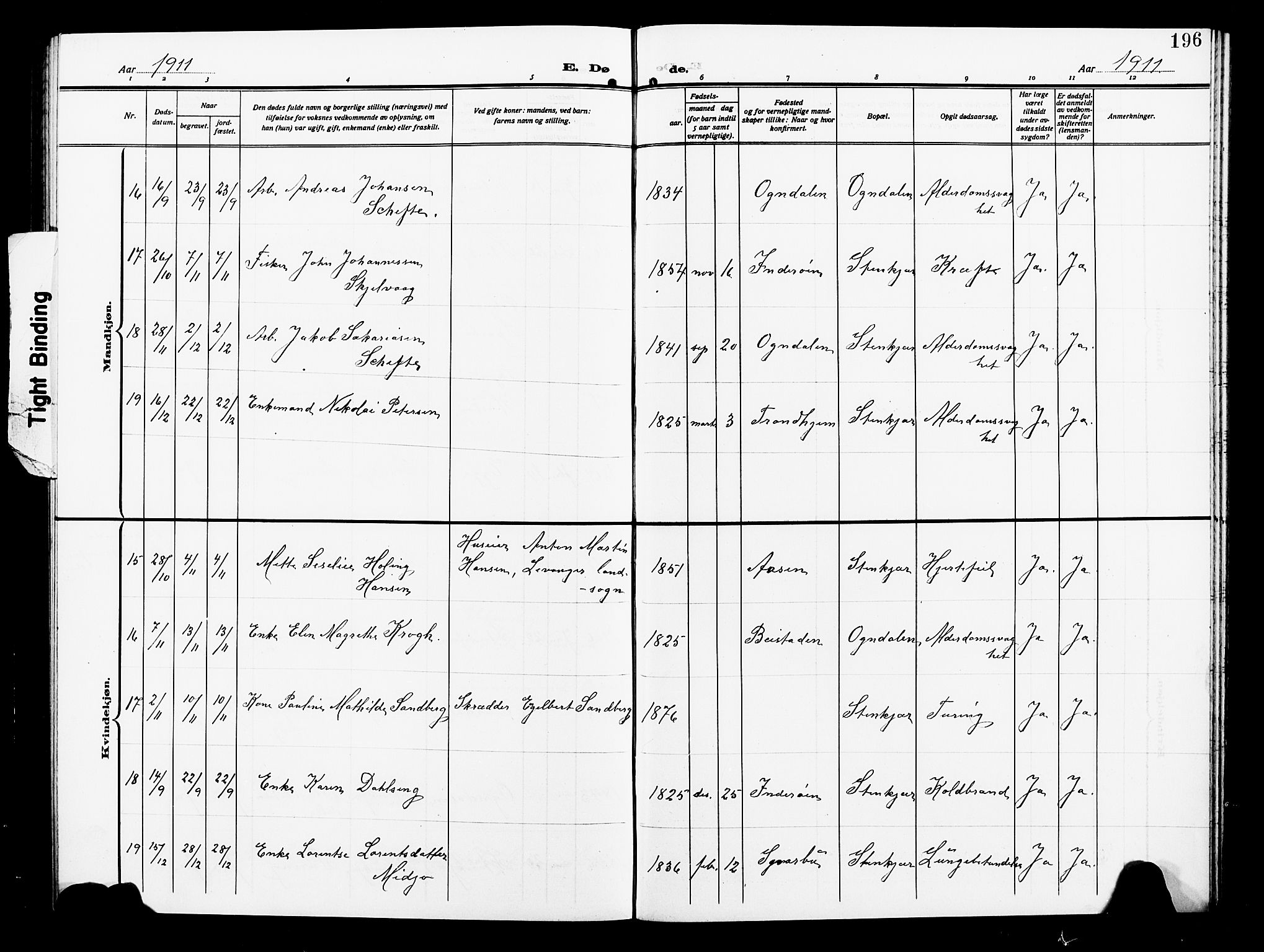 Ministerialprotokoller, klokkerbøker og fødselsregistre - Nord-Trøndelag, SAT/A-1458/739/L0376: Parish register (copy) no. 739C04, 1908-1917, p. 196
