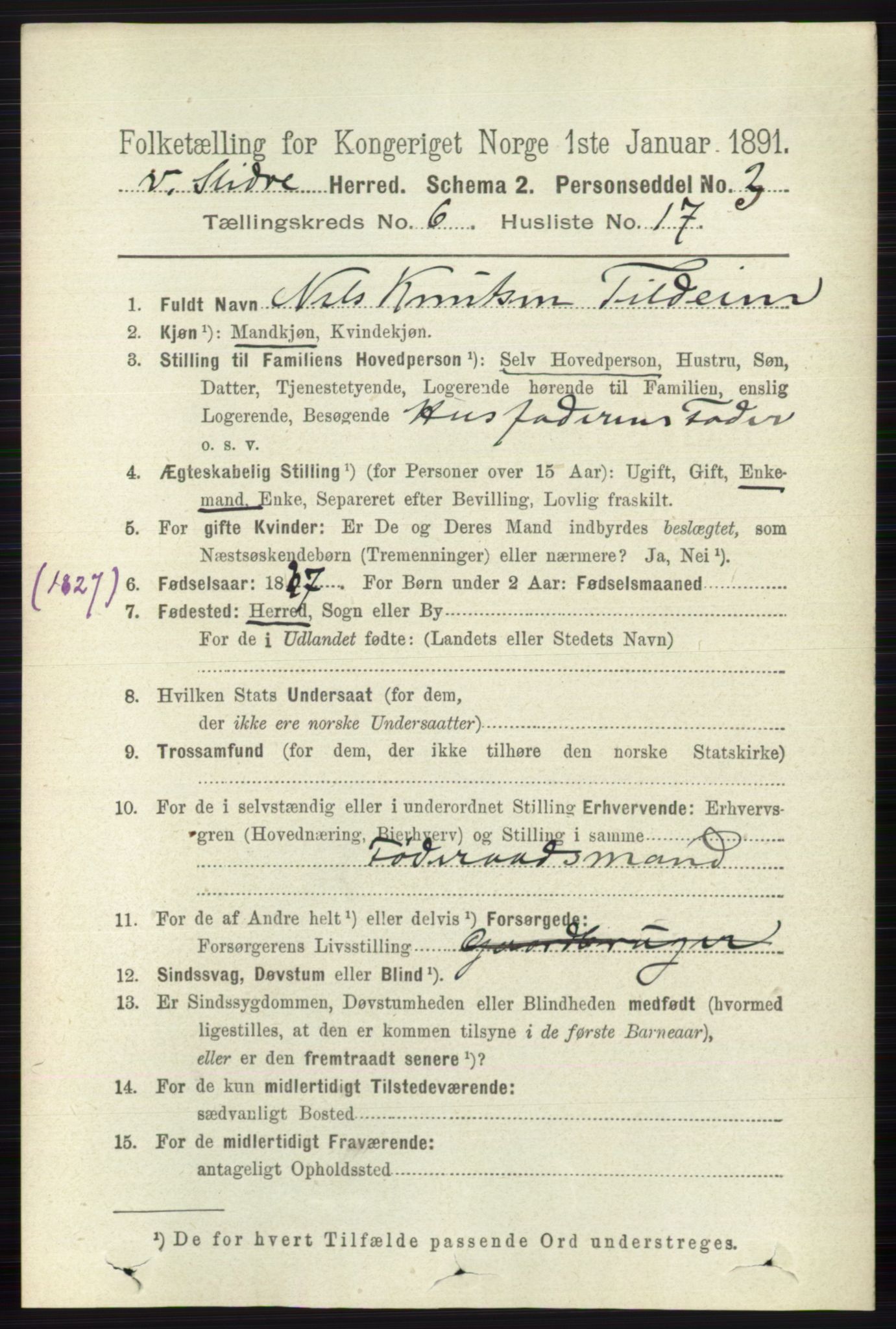 RA, 1891 census for 0543 Vestre Slidre, 1891, p. 2153