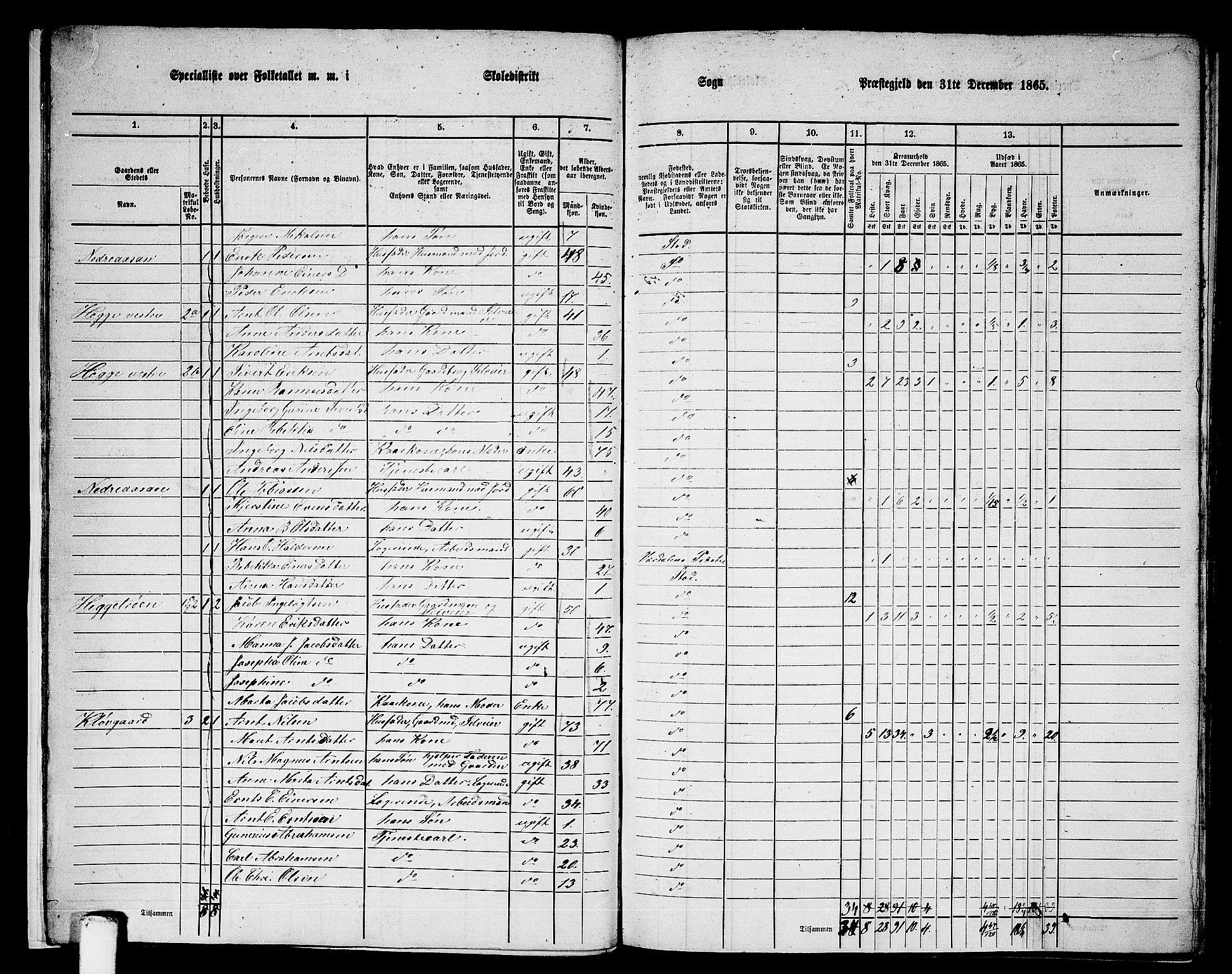 RA, 1865 census for Stod, 1865, p. 14