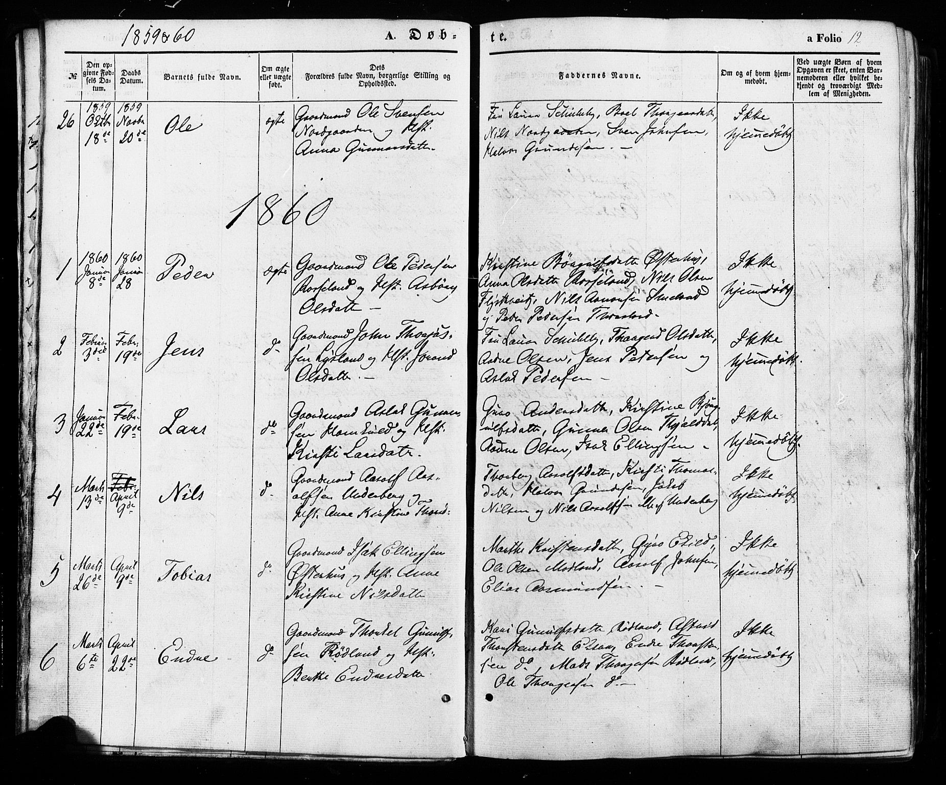 Åseral sokneprestkontor, SAK/1111-0051/F/Fa/L0002: Parish register (official) no. A 2, 1854-1884, p. 12