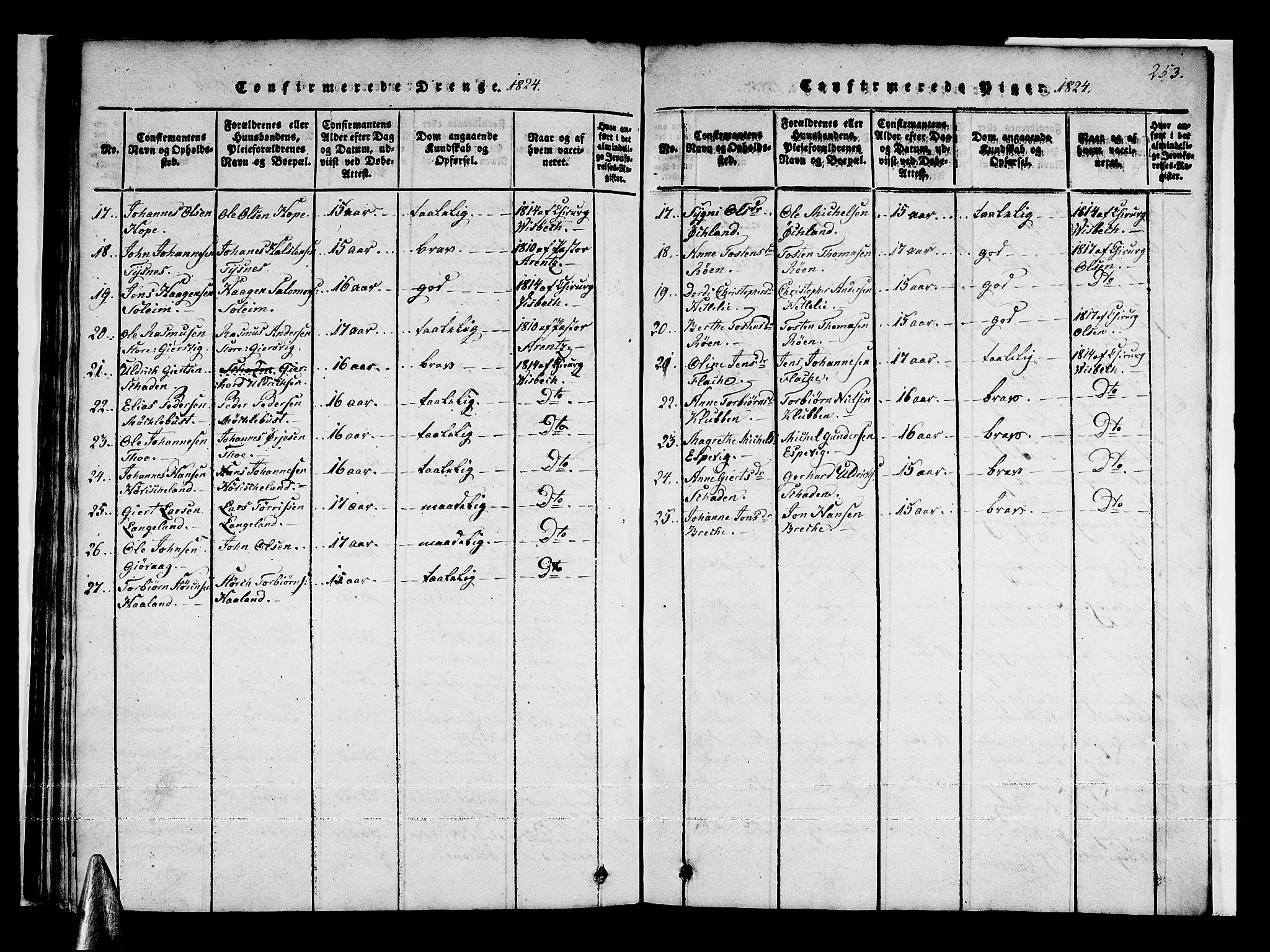 Tysnes sokneprestembete, AV/SAB-A-78601/H/Haa: Parish register (official) no. A 7, 1816-1826, p. 253