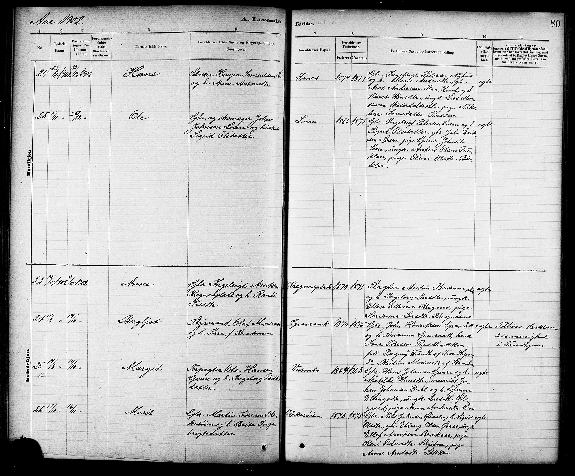 Ministerialprotokoller, klokkerbøker og fødselsregistre - Sør-Trøndelag, AV/SAT-A-1456/691/L1094: Parish register (copy) no. 691C05, 1879-1911, p. 80