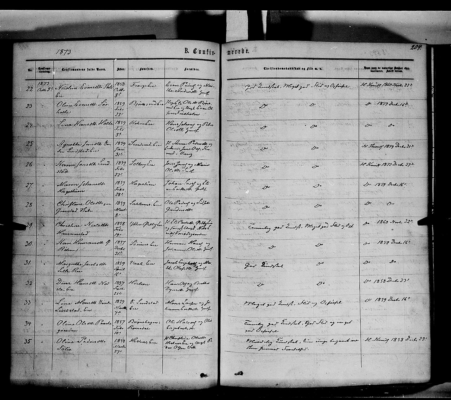 Stange prestekontor, SAH/PREST-002/K/L0013: Parish register (official) no. 13, 1862-1879, p. 204