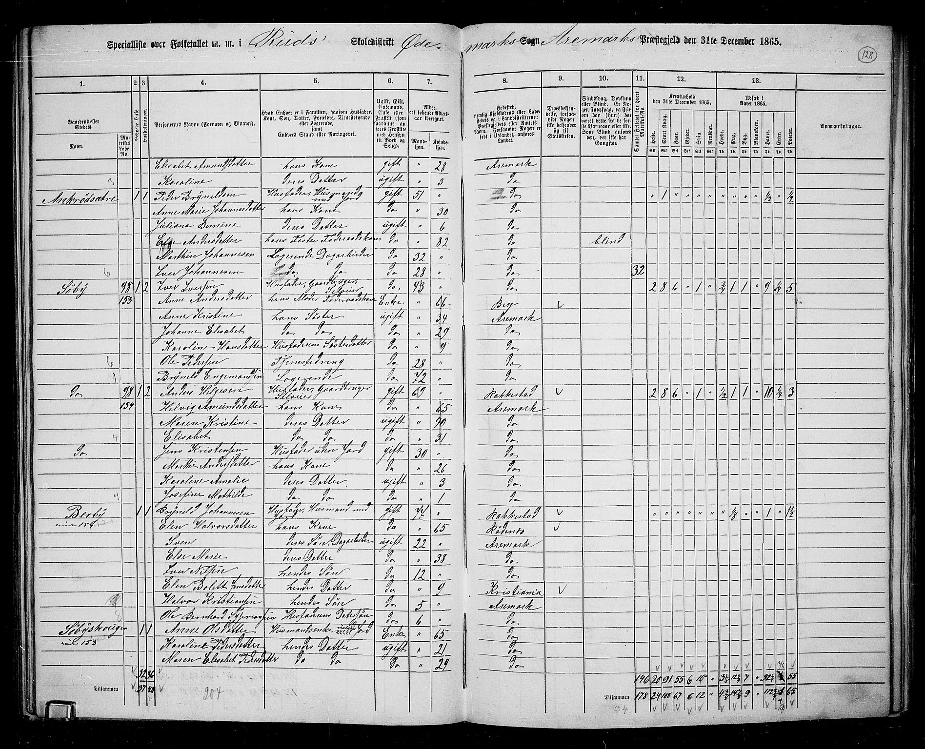 RA, 1865 census for Aremark, 1865, p. 117