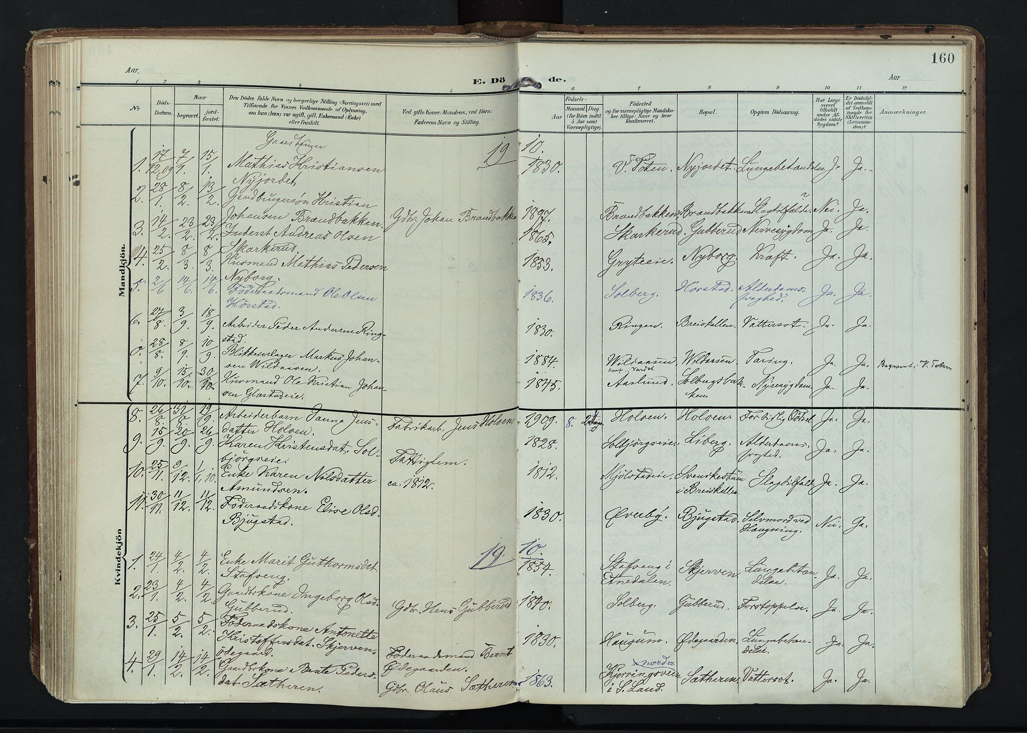 Vardal prestekontor, SAH/PREST-100/H/Ha/Haa/L0020: Parish register (official) no. 20, 1907-1921, p. 160