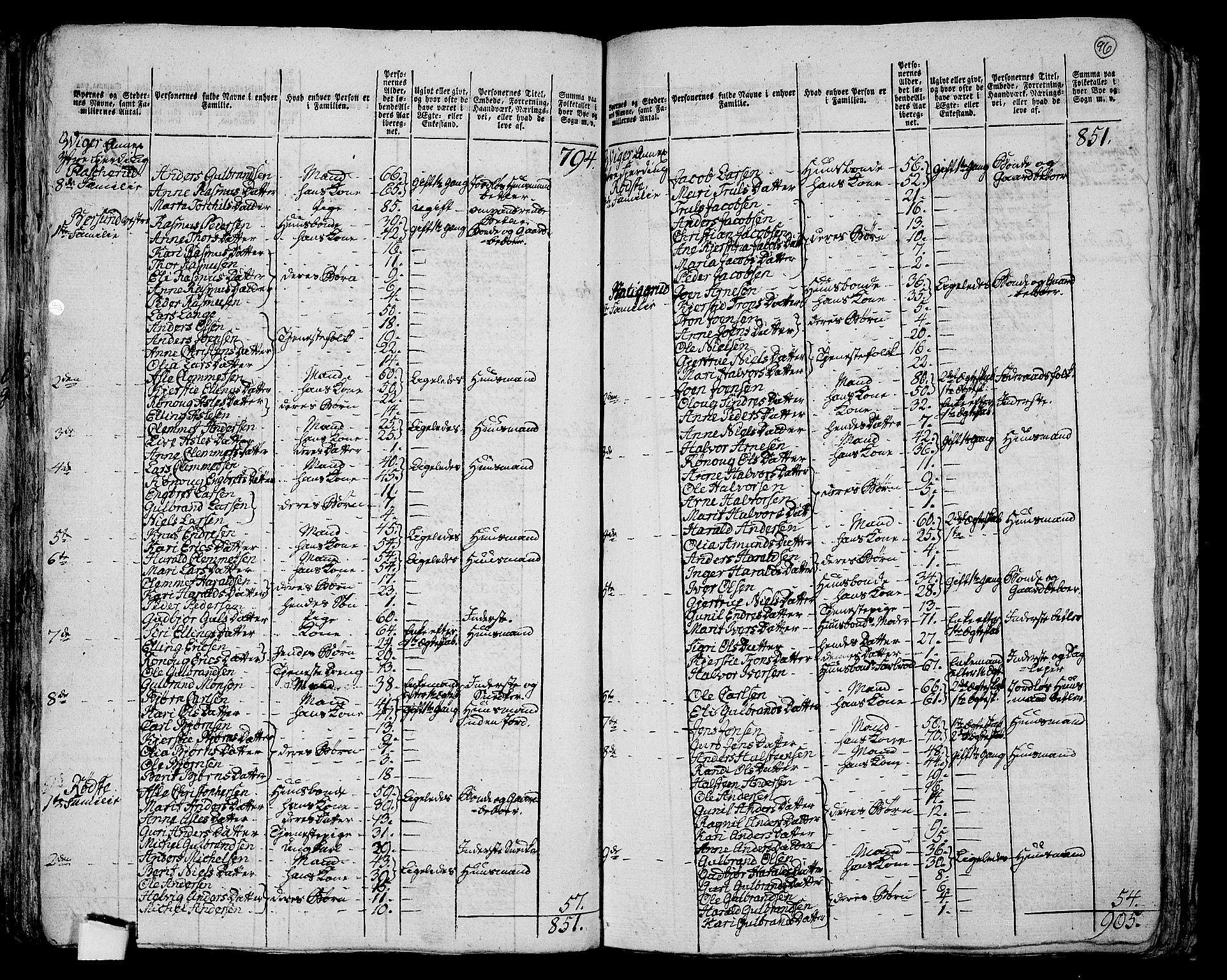 RA, 1801 census for 0613P Norderhov, 1801, p. 95b-96a
