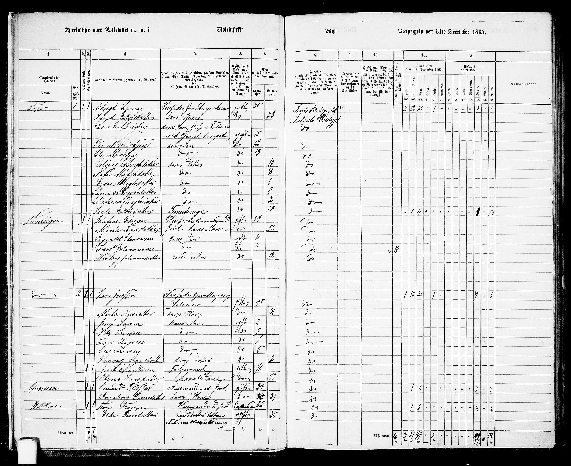 RA, 1865 census for Suldal, 1865, p. 12