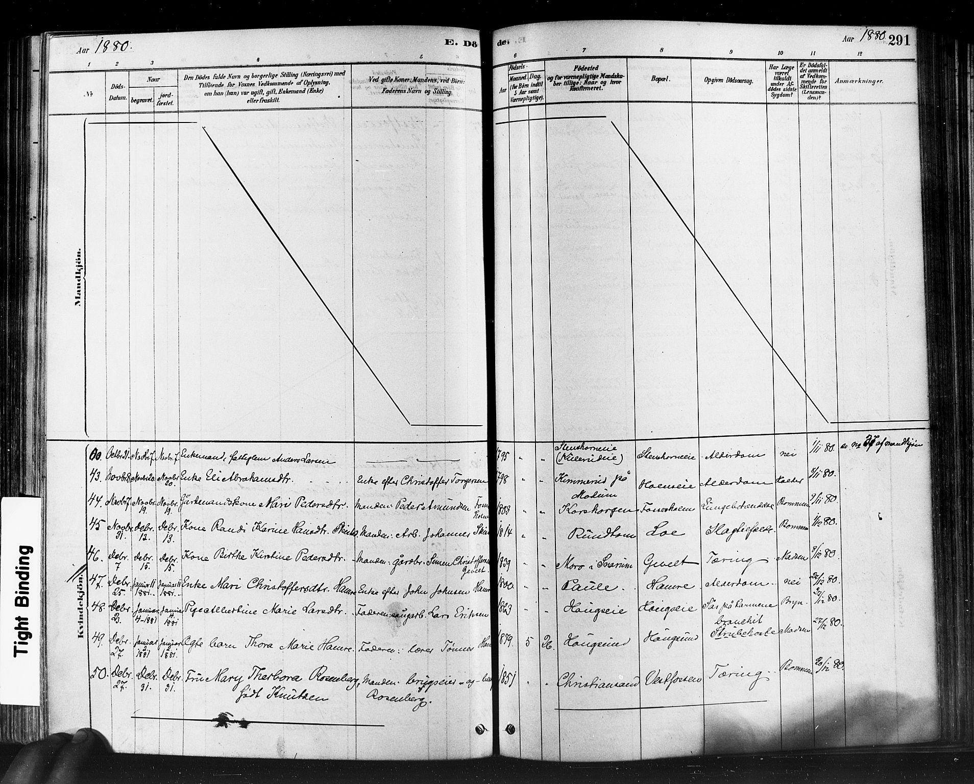 Eiker kirkebøker, AV/SAKO-A-4/F/Fb/L0001: Parish register (official) no. II 1, 1878-1888, p. 291