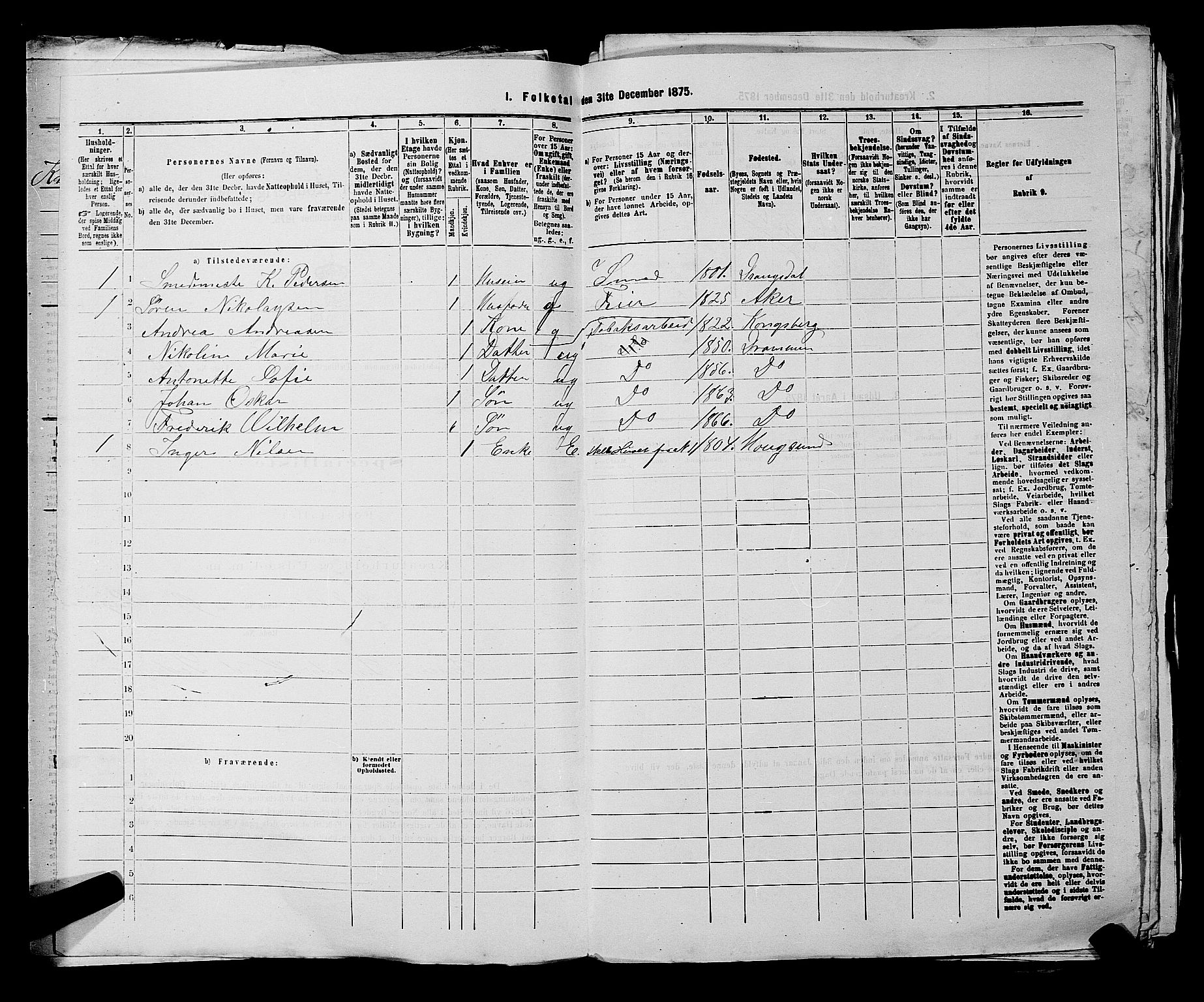 SAKO, 1875 census for 0602 Drammen, 1875, p. 677