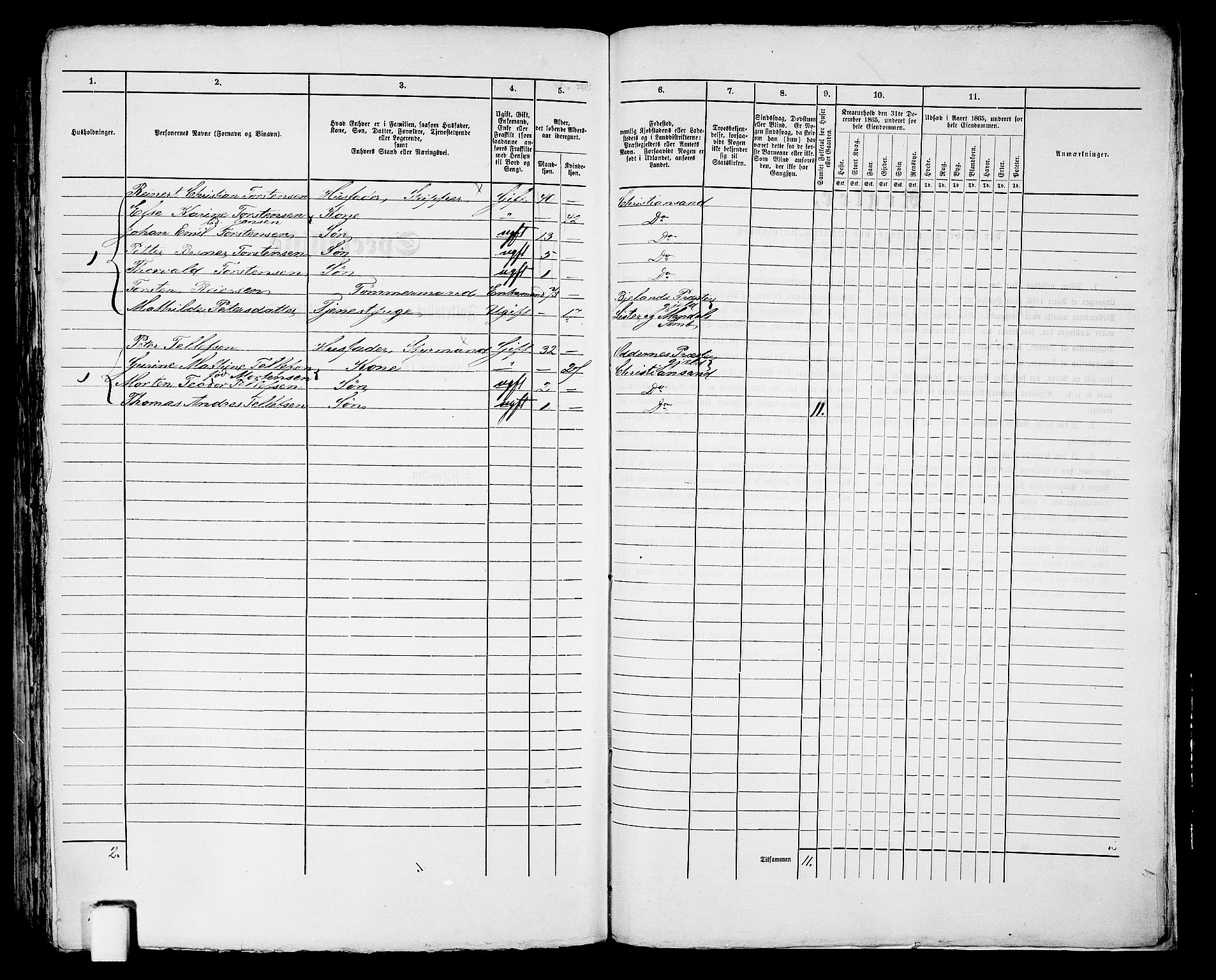 RA, 1865 census for Kristiansand, 1865, p. 1528