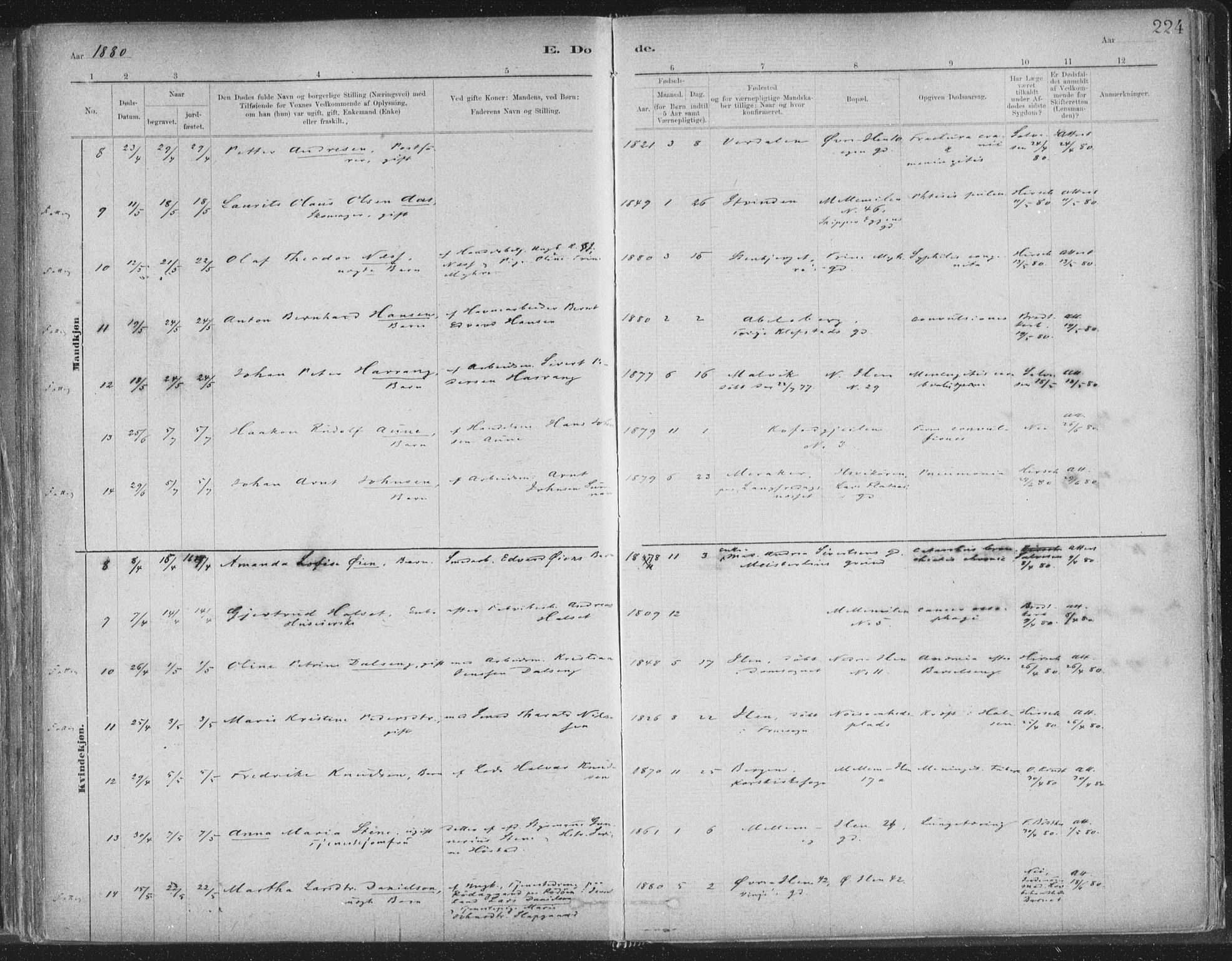 Ministerialprotokoller, klokkerbøker og fødselsregistre - Sør-Trøndelag, SAT/A-1456/603/L0162: Parish register (official) no. 603A01, 1879-1895, p. 224