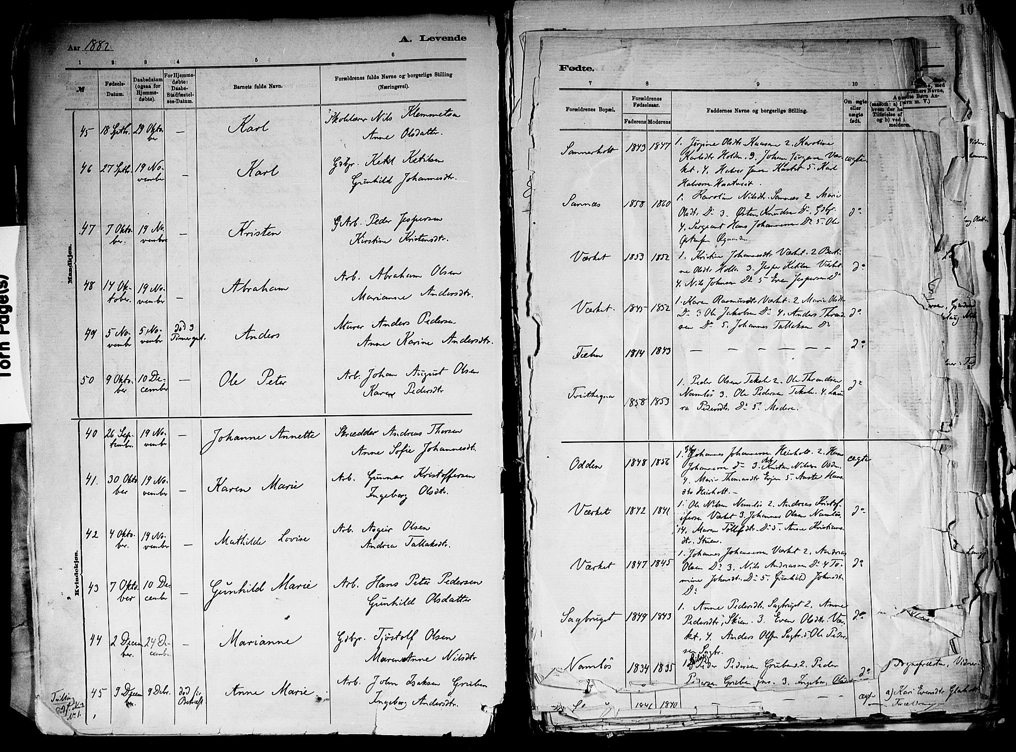 Holla kirkebøker, AV/SAKO-A-272/F/Fa/L0008: Parish register (official) no. 8, 1882-1897, p. 8