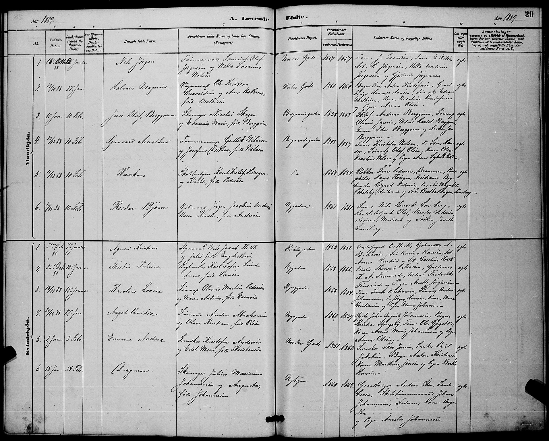 Sandefjord kirkebøker, AV/SAKO-A-315/G/Ga/L0001: Parish register (copy) no. 1, 1885-1903, p. 29