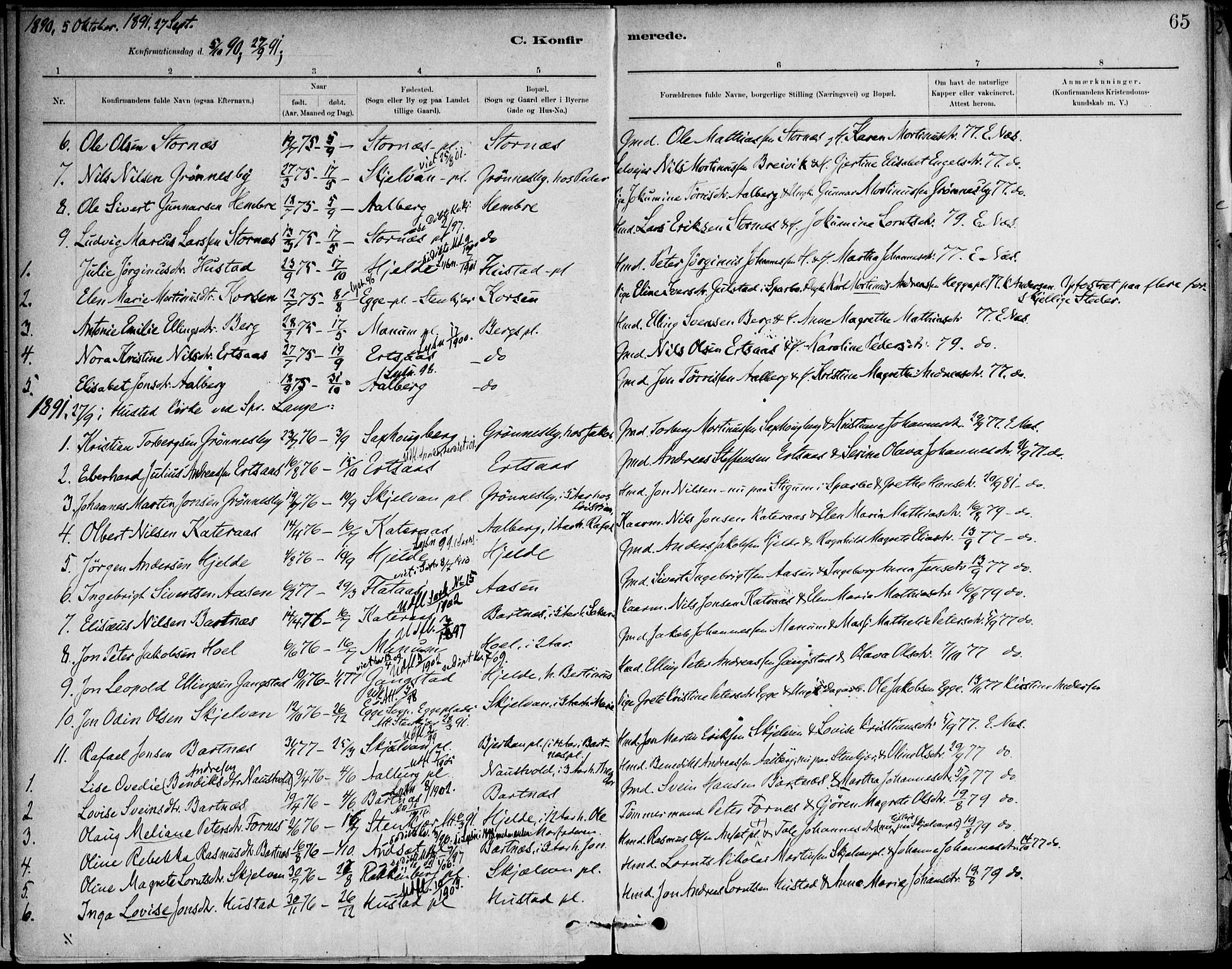 Ministerialprotokoller, klokkerbøker og fødselsregistre - Nord-Trøndelag, SAT/A-1458/732/L0316: Parish register (official) no. 732A01, 1879-1921, p. 65