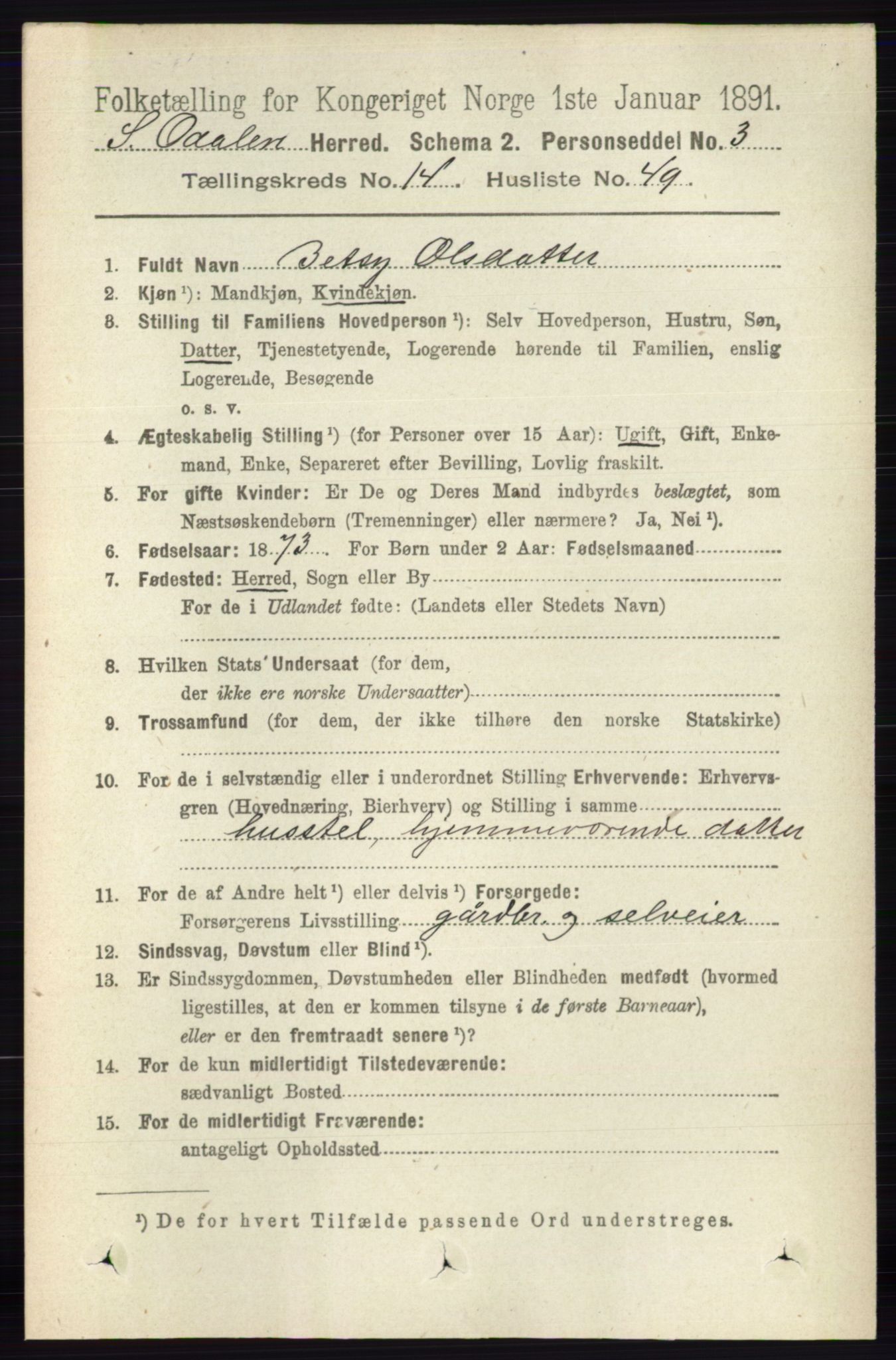 RA, 1891 census for 0419 Sør-Odal, 1891, p. 6342