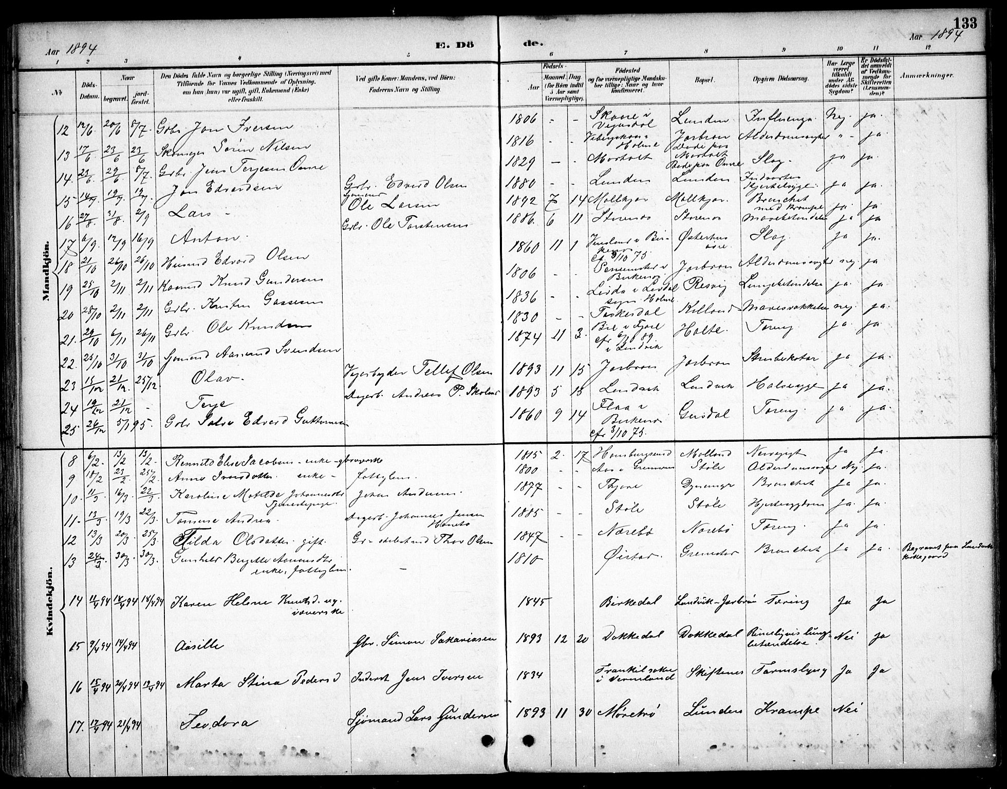 Hommedal sokneprestkontor, AV/SAK-1111-0023/F/Fb/Fbb/L0007: Parish register (copy) no. B 7, 1885-1904, p. 133