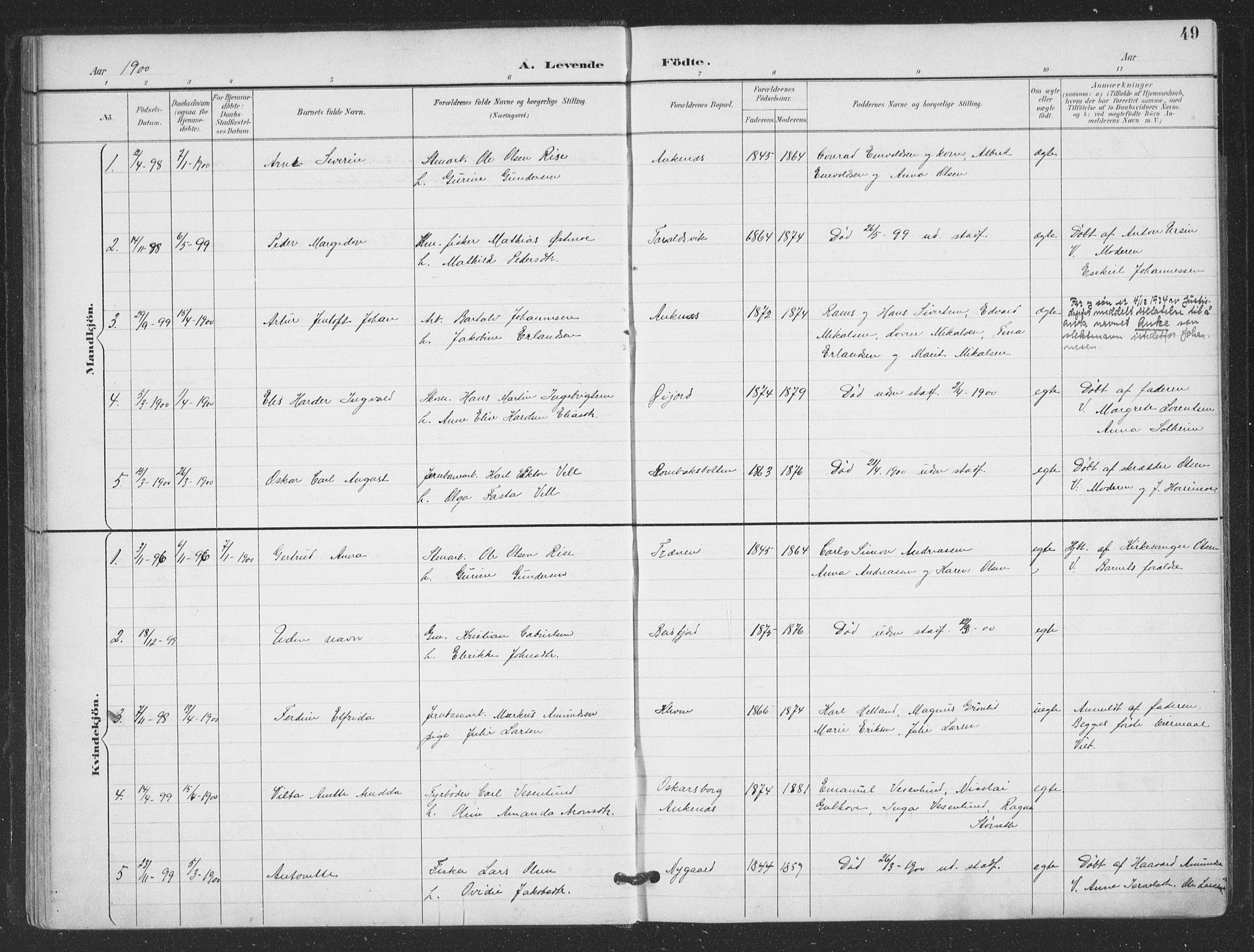 Ministerialprotokoller, klokkerbøker og fødselsregistre - Nordland, SAT/A-1459/866/L0939: Parish register (official) no. 866A02, 1894-1906, p. 49