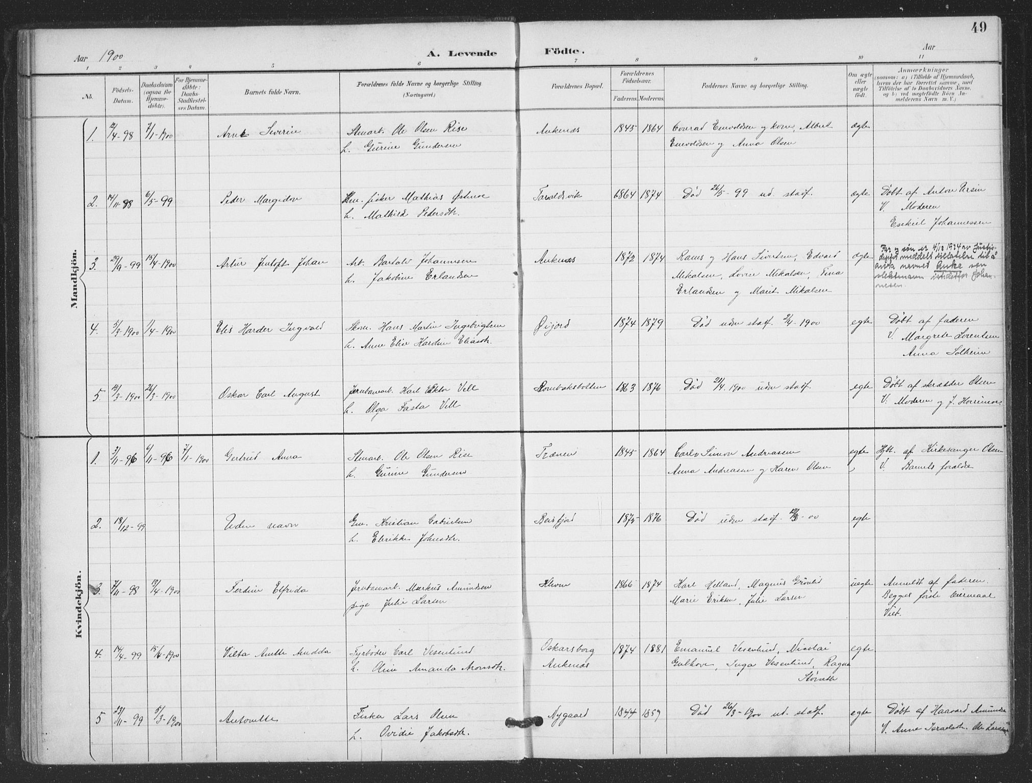 Ministerialprotokoller, klokkerbøker og fødselsregistre - Nordland, AV/SAT-A-1459/866/L0939: Parish register (official) no. 866A02, 1894-1906, p. 49