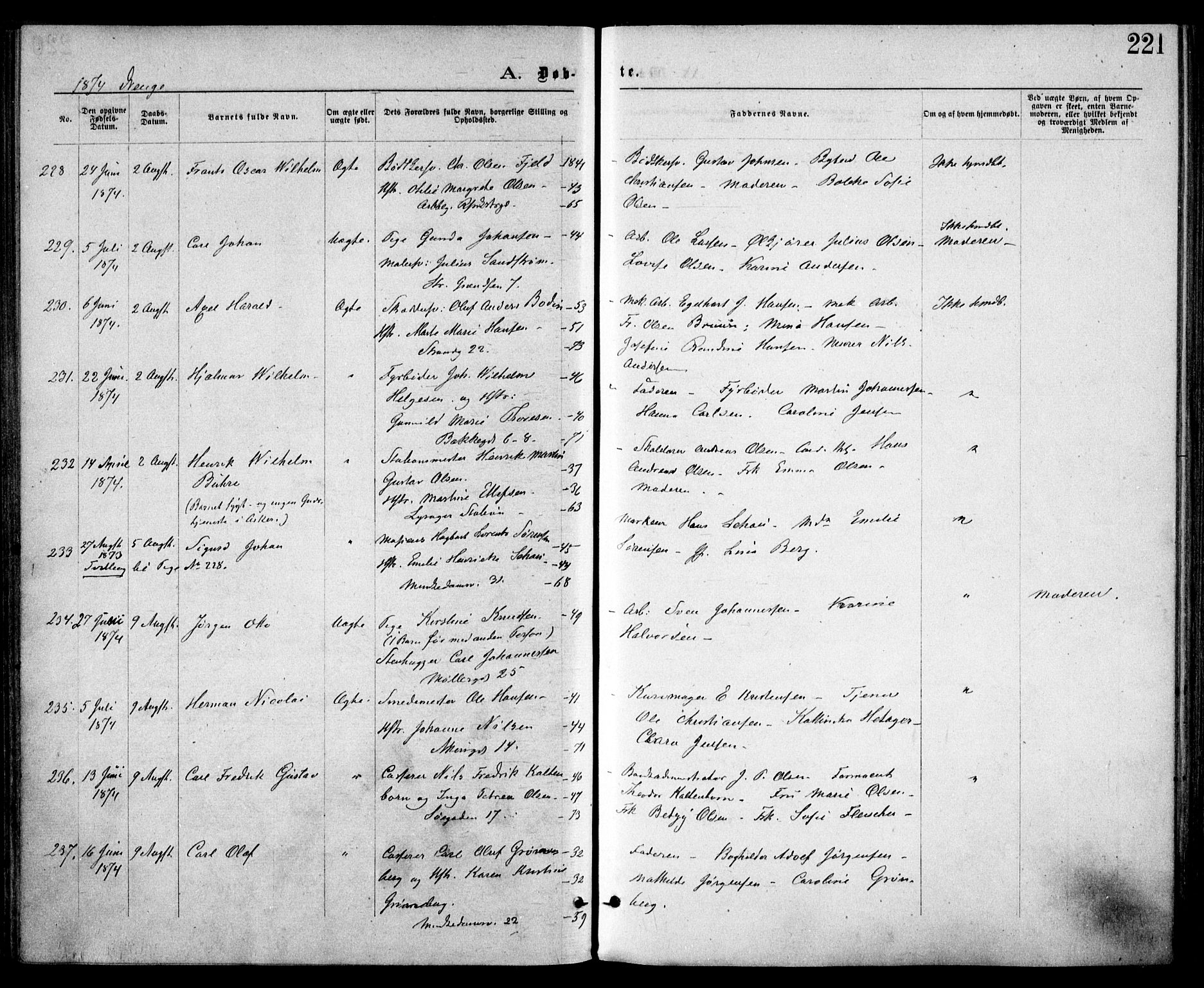Trefoldighet prestekontor Kirkebøker, SAO/A-10882/F/Fa/L0003: Parish register (official) no. I 3, 1870-1876, p. 221