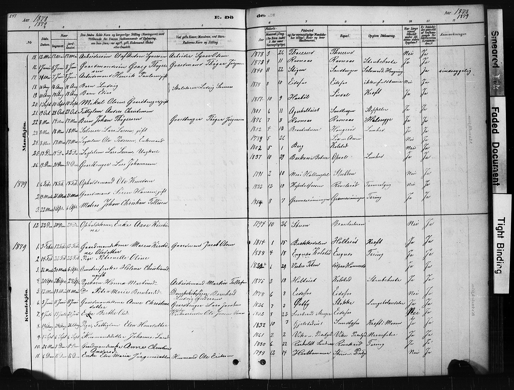 Hof kirkebøker, AV/SAKO-A-64/G/Ga/L0004: Parish register (copy) no. I 4, 1878-1930, p. 247