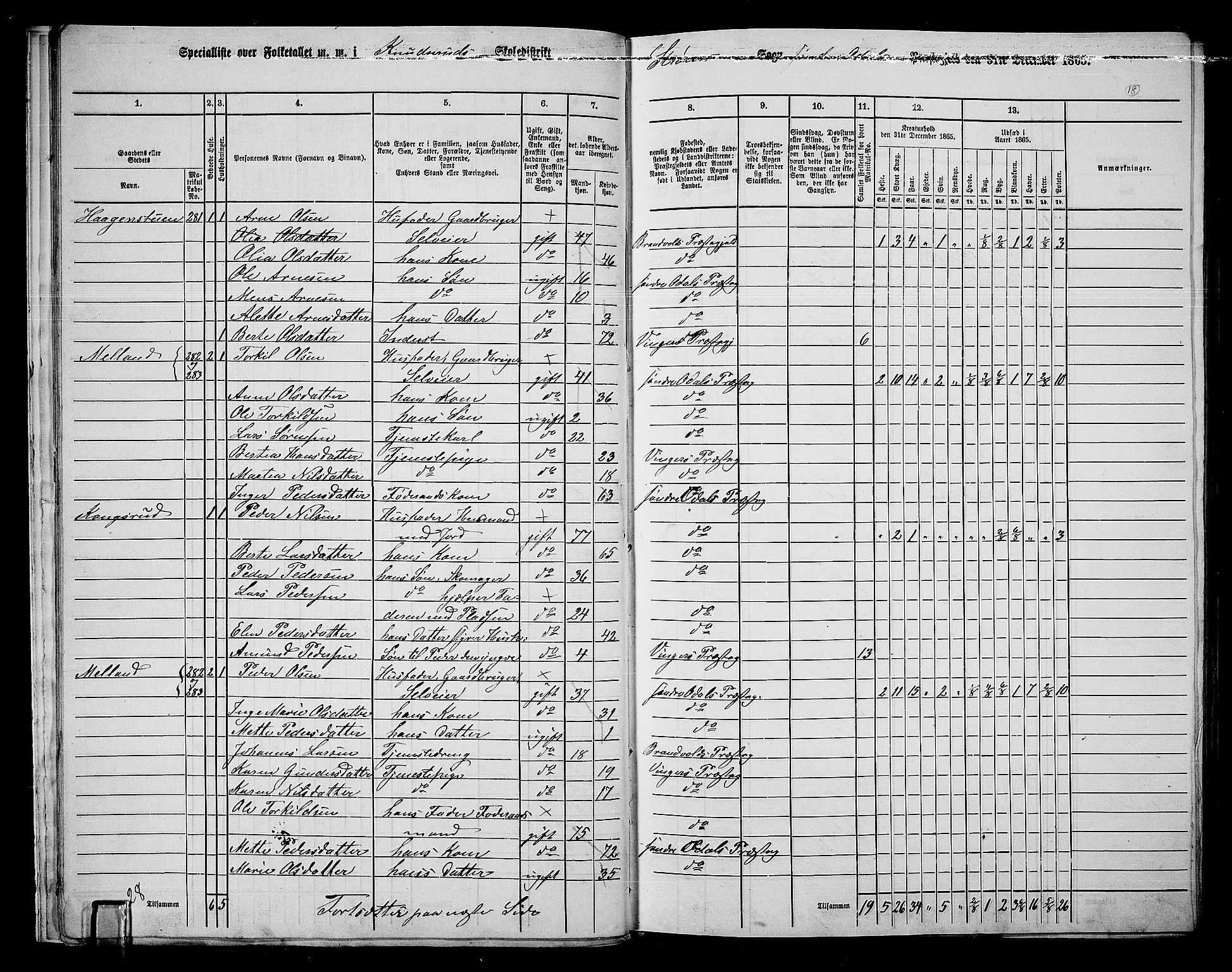 RA, 1865 census for Sør-Odal, 1865, p. 16