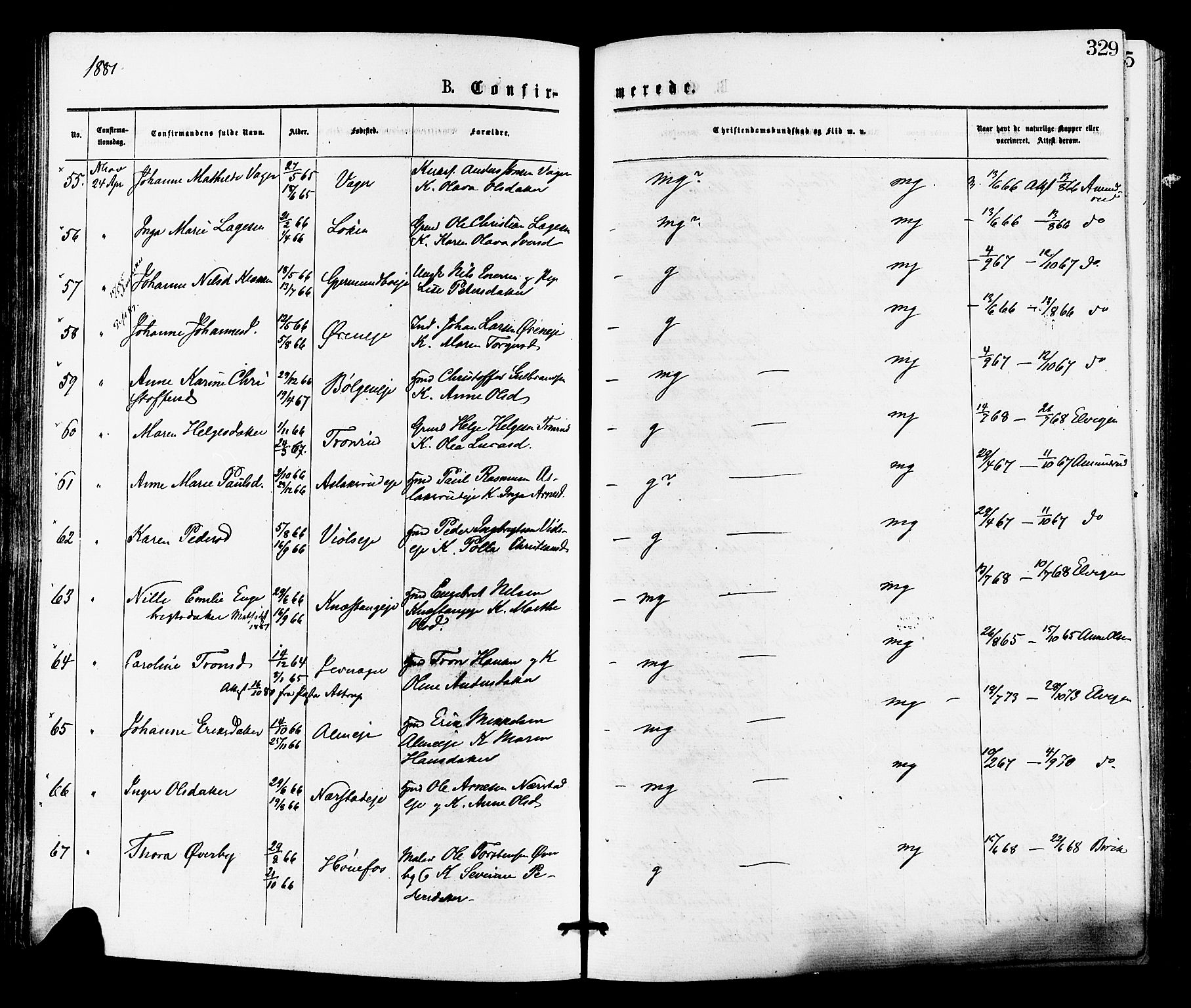 Norderhov kirkebøker, AV/SAKO-A-237/F/Fa/L0015: Parish register (official) no. 15, 1875-1884, p. 329