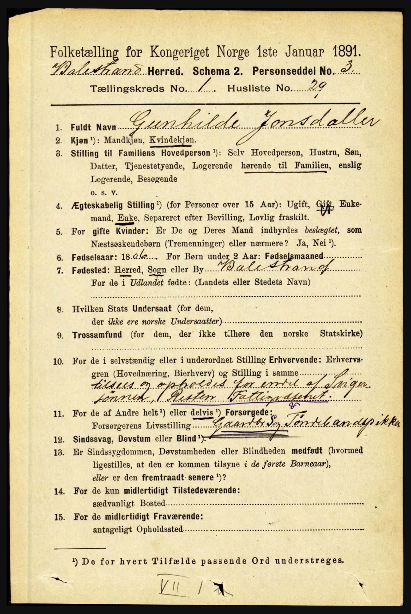 RA, 1891 census for 1418 Balestrand, 1891, p. 218