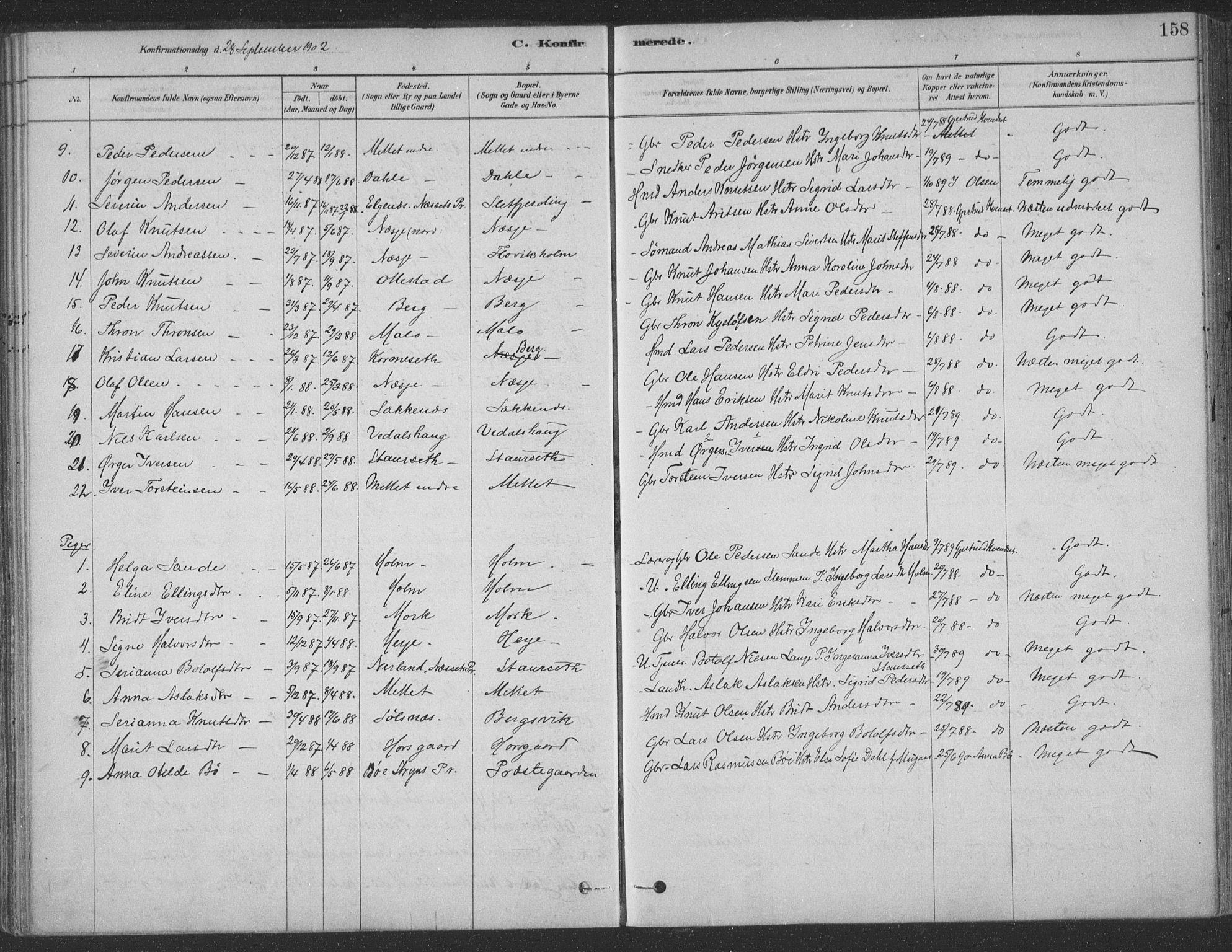 Ministerialprotokoller, klokkerbøker og fødselsregistre - Møre og Romsdal, AV/SAT-A-1454/547/L0604: Parish register (official) no. 547A06, 1878-1906, p. 158