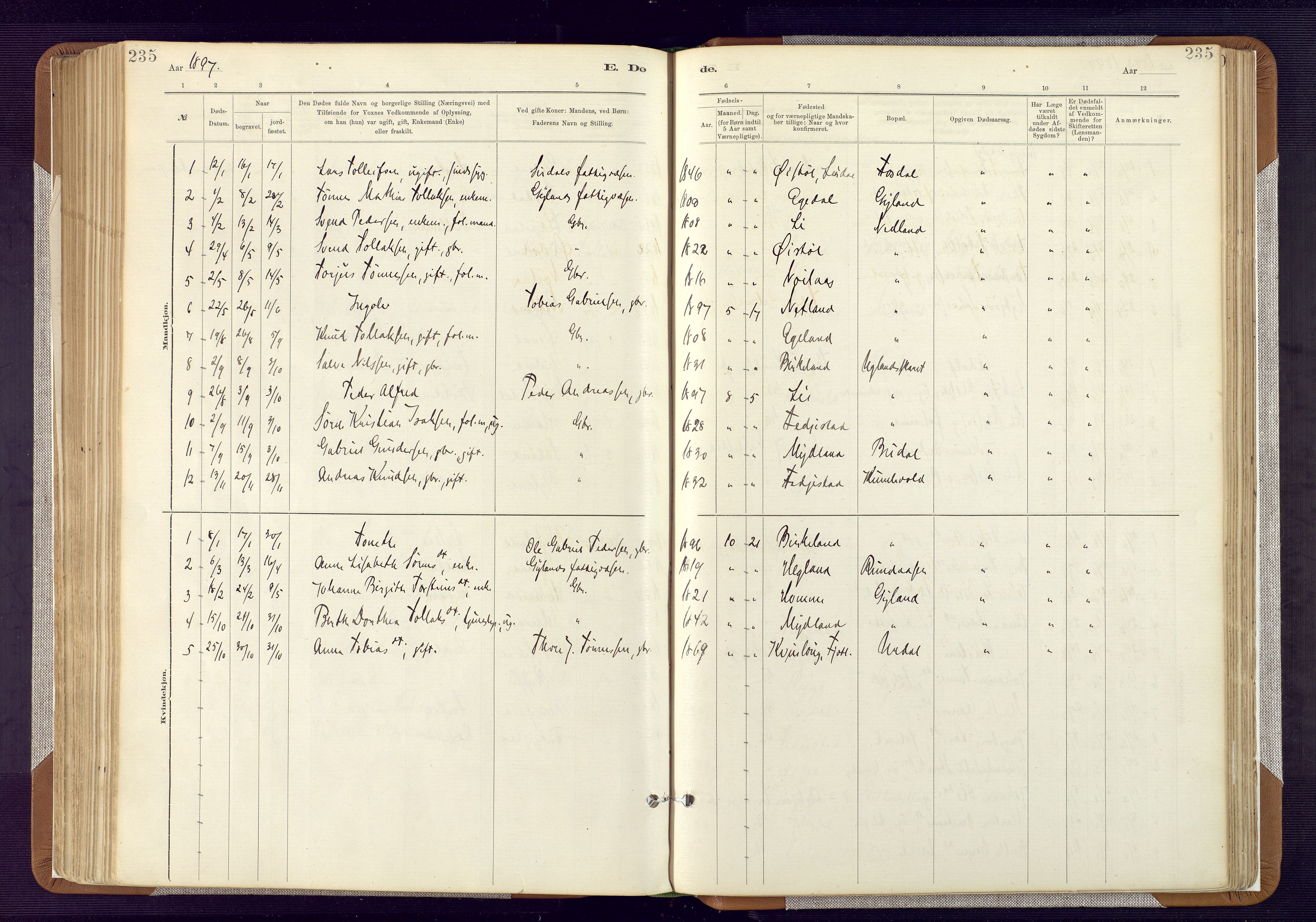 Bakke sokneprestkontor, SAK/1111-0002/F/Fa/Fab/L0003: Parish register (official) no. A 3, 1884-1921, p. 235
