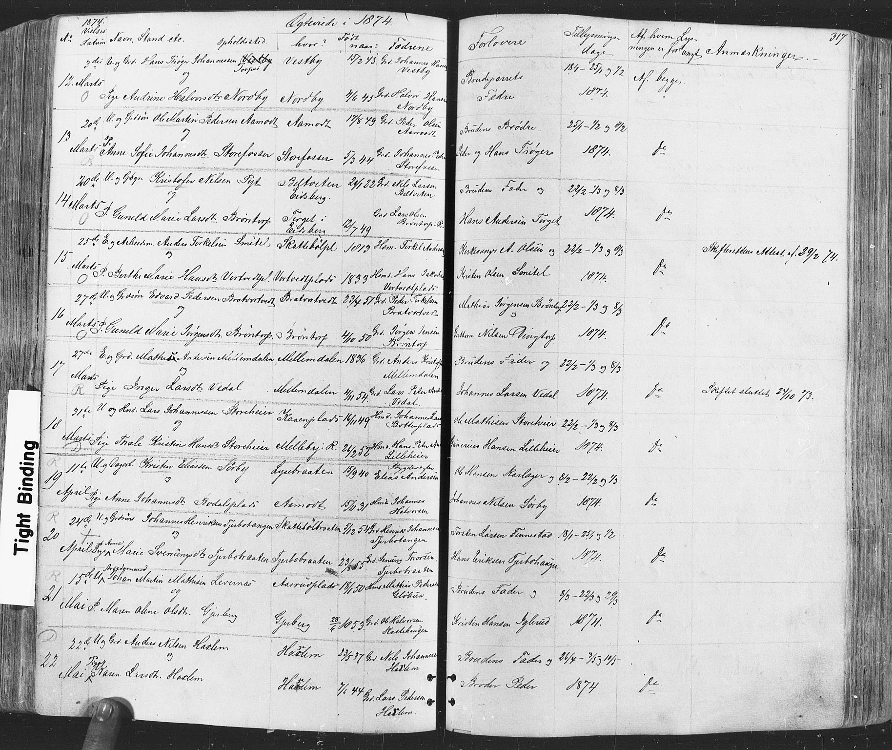 Rakkestad prestekontor Kirkebøker, SAO/A-2008/F/Fa/L0011: Parish register (official) no. I 11, 1862-1877, p. 317