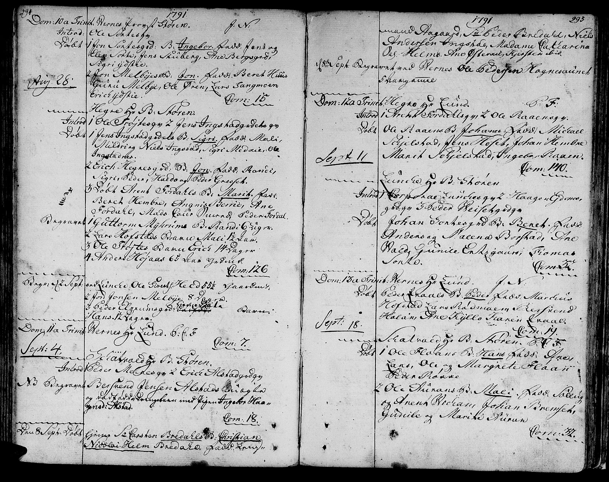 Ministerialprotokoller, klokkerbøker og fødselsregistre - Nord-Trøndelag, SAT/A-1458/709/L0059: Parish register (official) no. 709A06, 1781-1797, p. 294-295