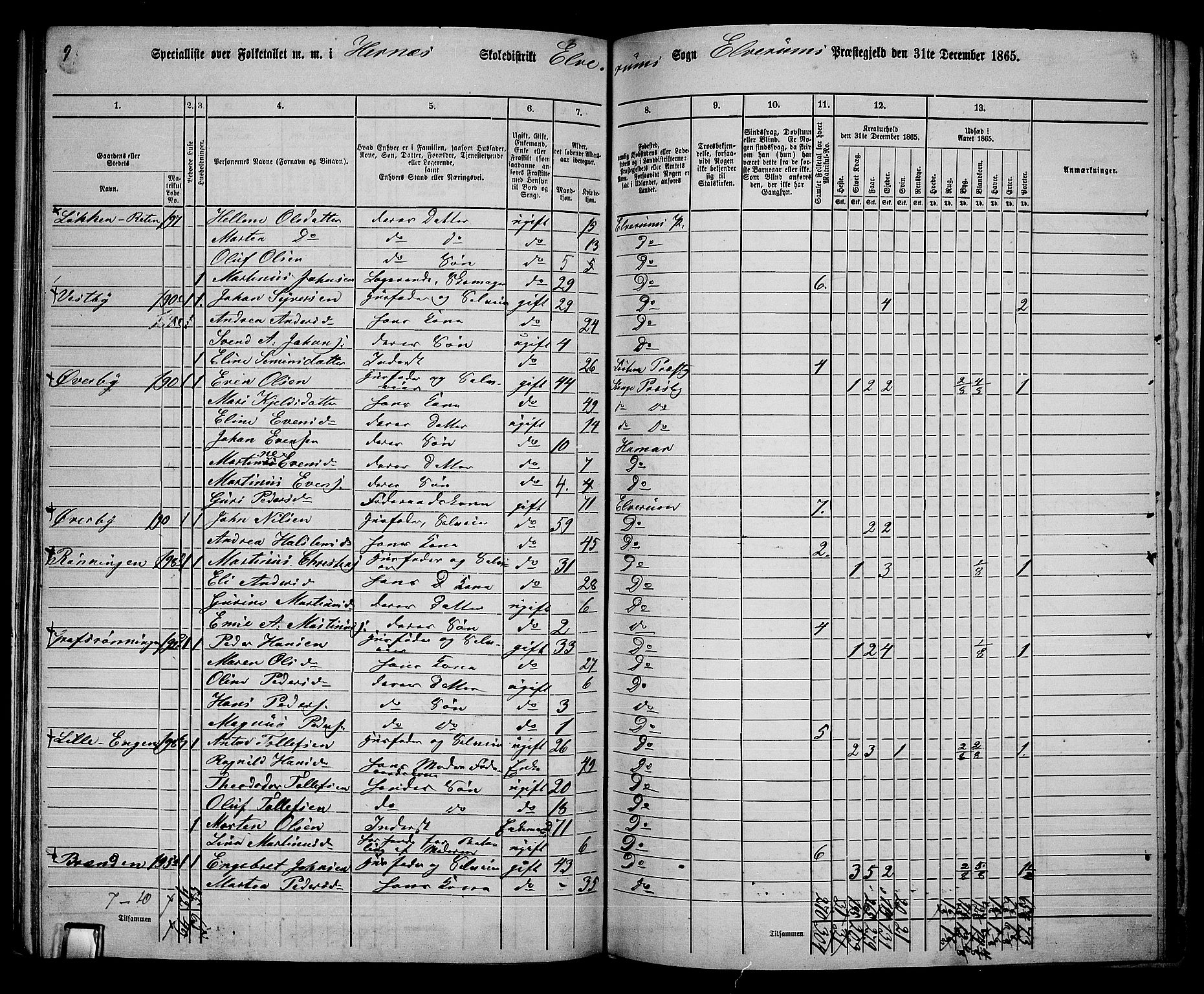 RA, 1865 census for Elverum, 1865, p. 162