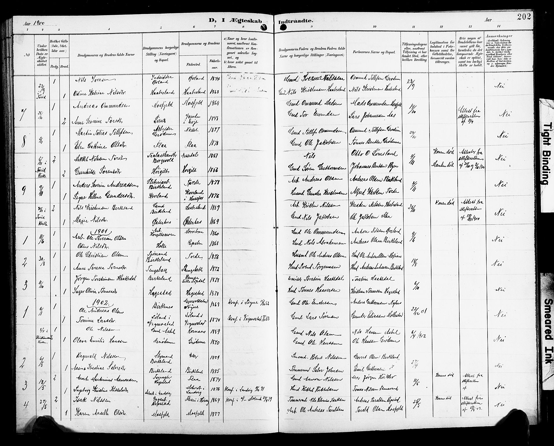 Birkenes sokneprestkontor, SAK/1111-0004/F/Fb/L0004: Parish register (copy) no. B 4, 1893-1930, p. 202