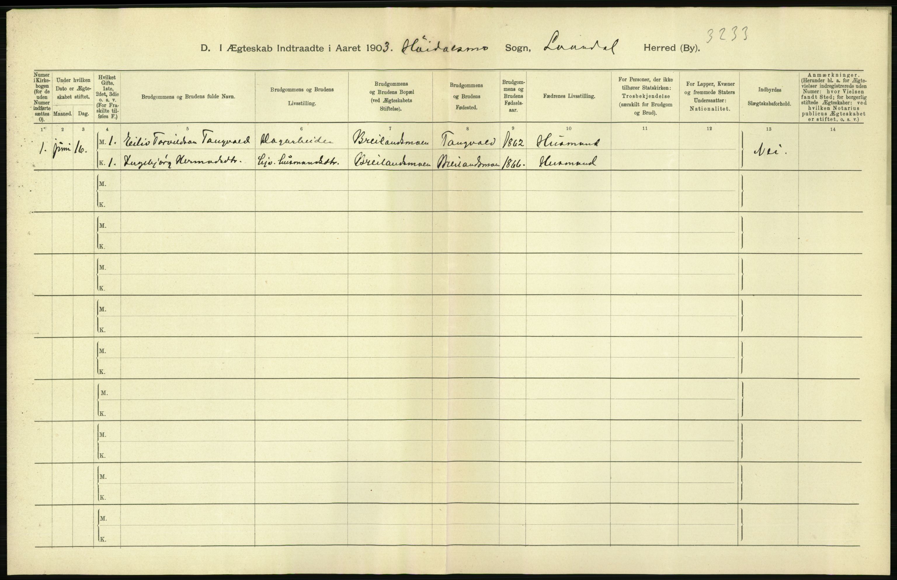 Statistisk sentralbyrå, Sosiodemografiske emner, Befolkning, AV/RA-S-2228/D/Df/Dfa/Dfaa/L0009: Bratsberg amt: Fødte, gifte, døde, 1903, p. 366