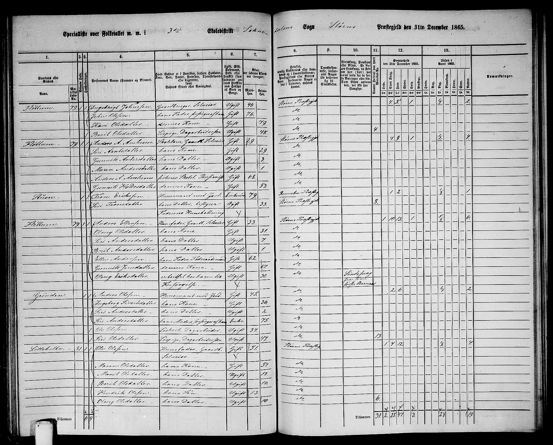 RA, 1865 census for Støren, 1865, p. 259