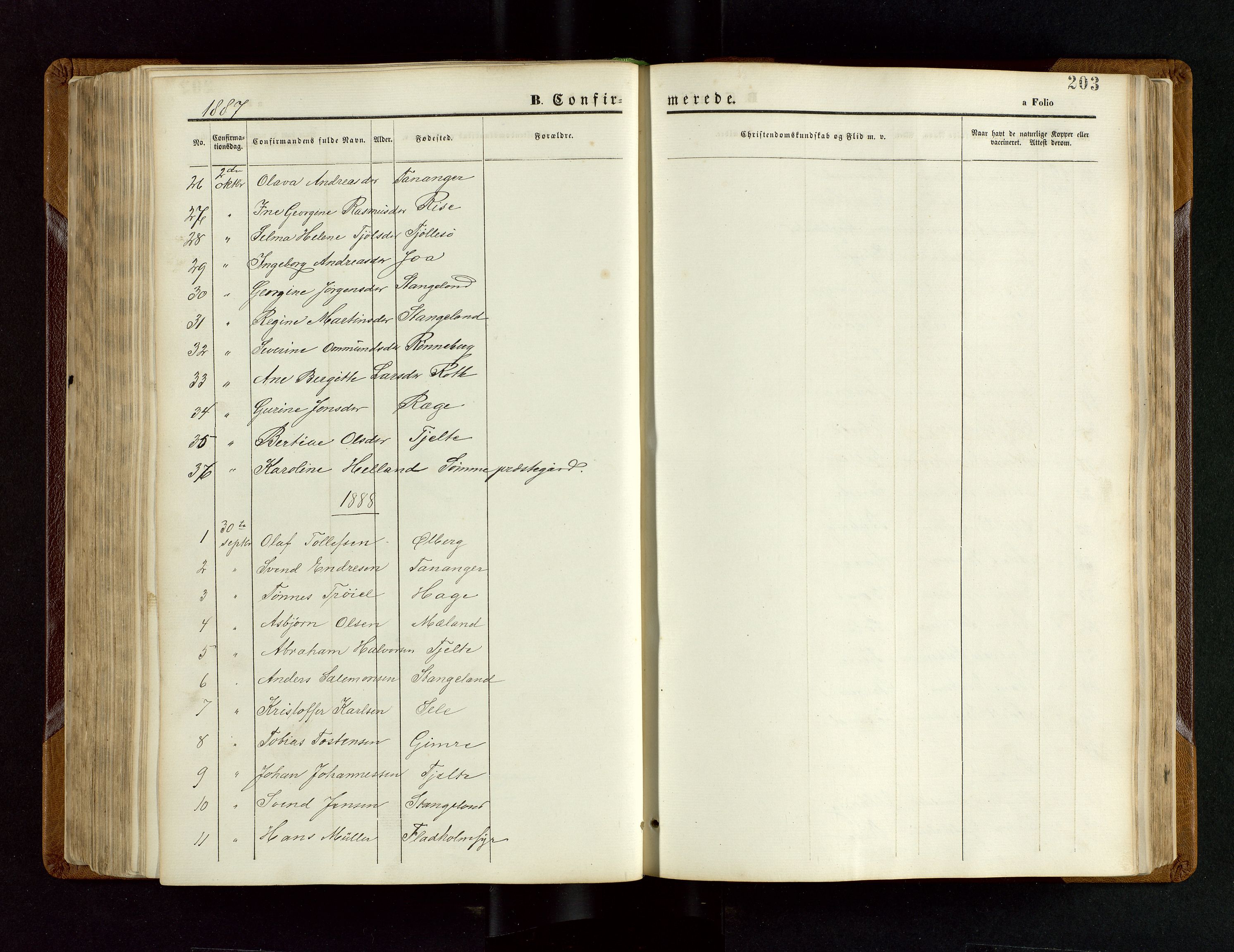 Håland sokneprestkontor, SAST/A-101802/001/30BB/L0003: Parish register (copy) no. B 3, 1873-1893, p. 203