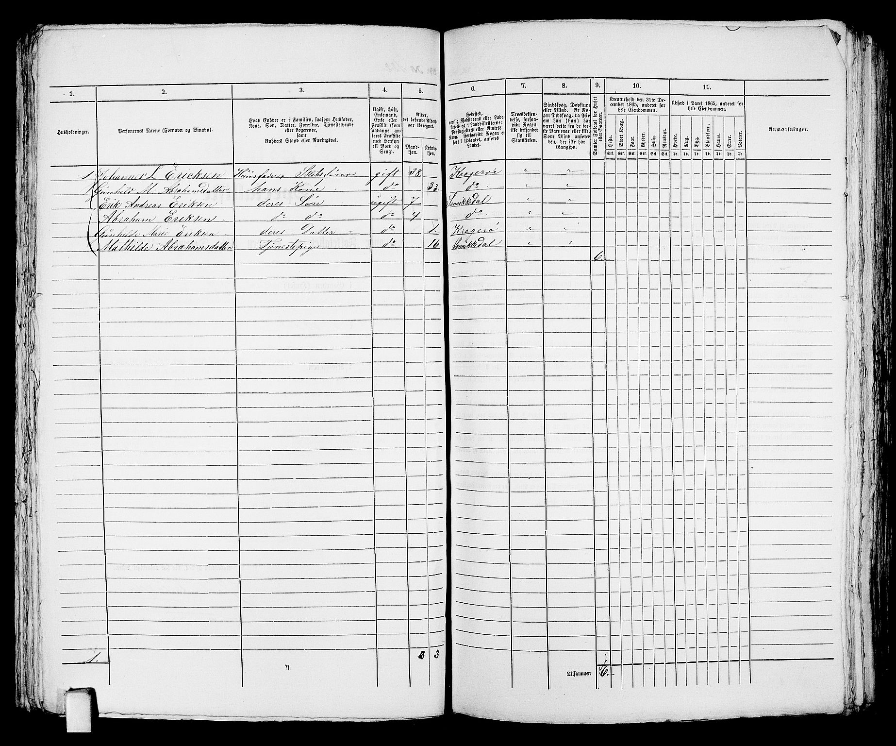 RA, 1865 census for Kragerø/Kragerø, 1865, p. 254