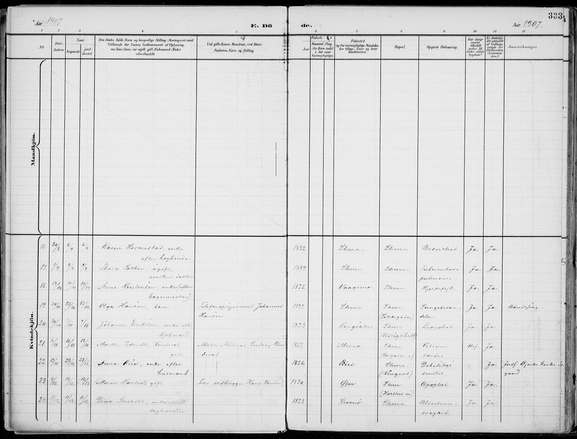Lillehammer prestekontor, SAH/PREST-088/H/Ha/Haa/L0001: Parish register (official) no. 1, 1901-1916, p. 333