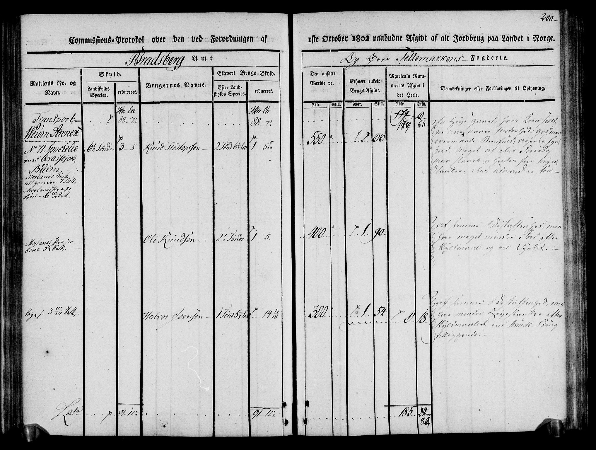 Rentekammeret inntil 1814, Realistisk ordnet avdeling, RA/EA-4070/N/Ne/Nea/L0075: Øvre Telemarken fogderi. Kommisjonsprotokoll for fogderiets vestre del - Kviteseid, Vinje, Moland [):Fyresdal] og Lårdal prestegjeld., 1803, p. 202