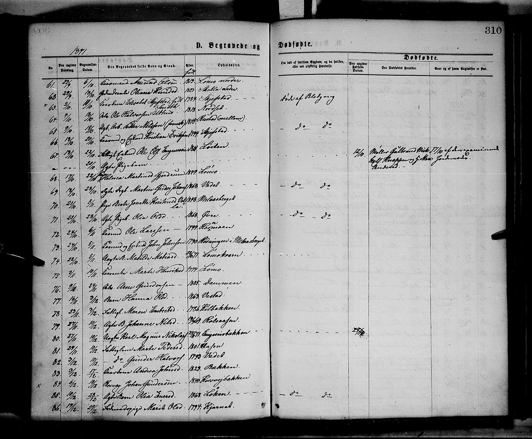 Elverum prestekontor, SAH/PREST-044/H/Ha/Haa/L0011: Parish register (official) no. 11, 1869-1879, p. 310