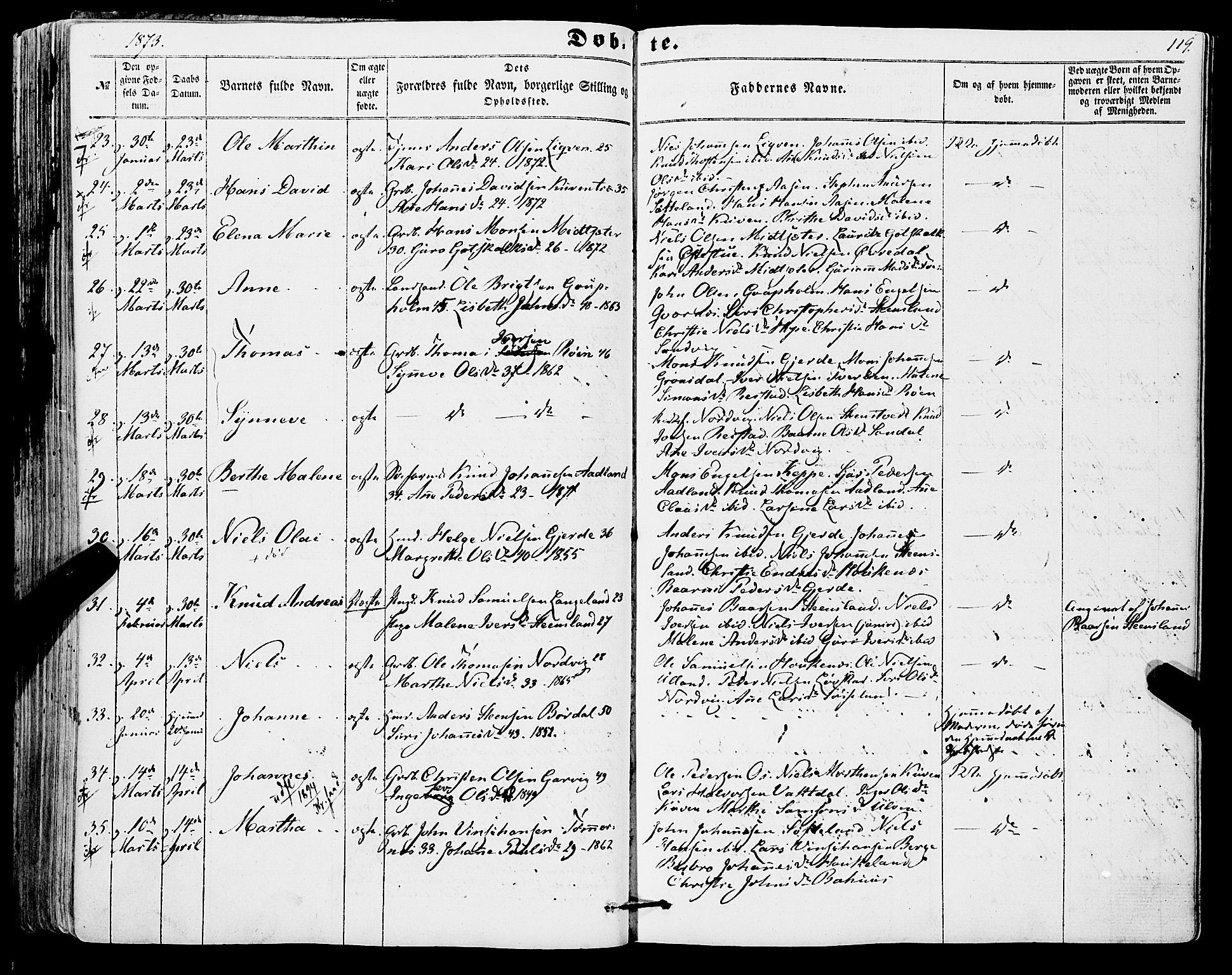 Os sokneprestembete, AV/SAB-A-99929: Parish register (official) no. A 17, 1860-1873, p. 119