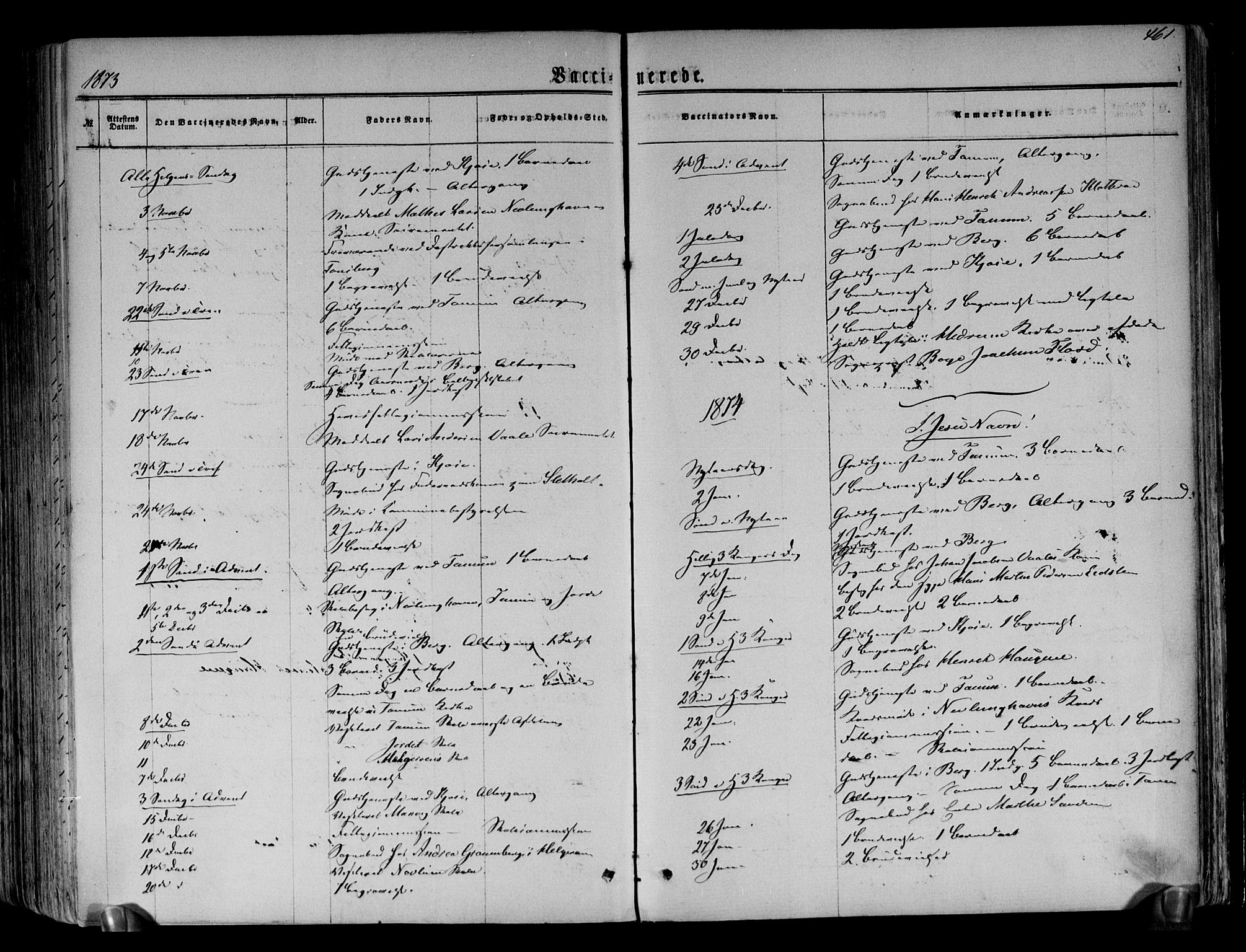 Brunlanes kirkebøker, AV/SAKO-A-342/F/Fa/L0005: Parish register (official) no. I 5, 1862-1877, p. 461