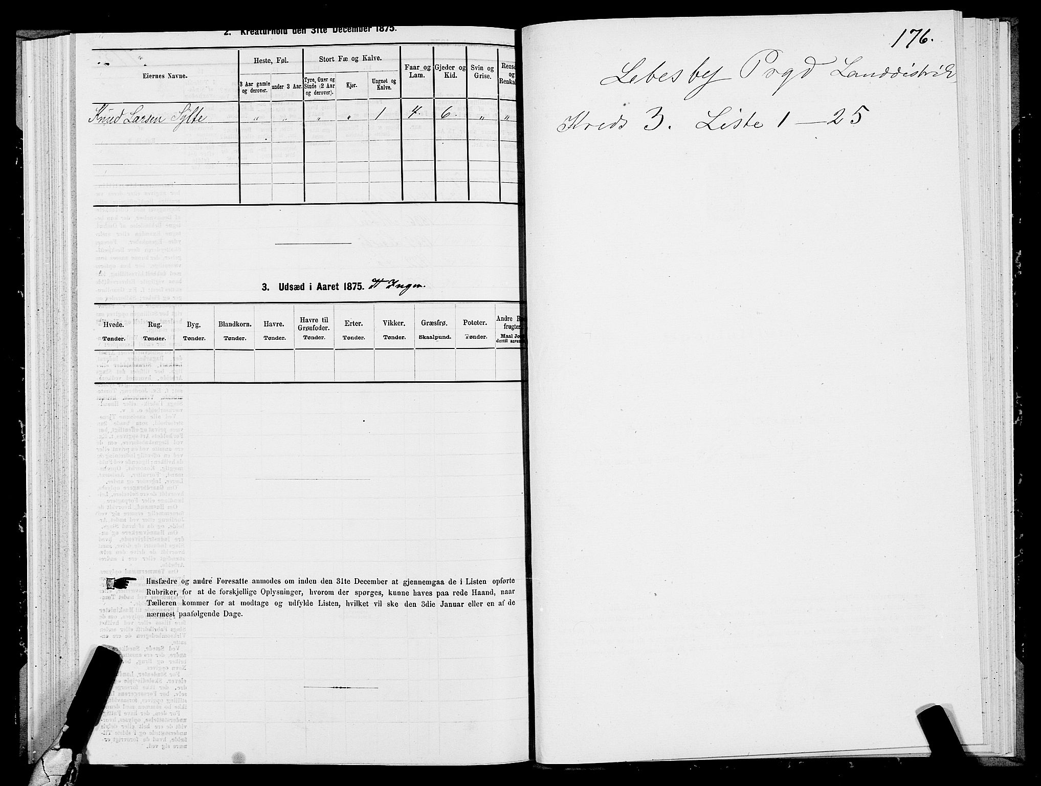 SATØ, 1875 census for 2022P Lebesby, 1875, p. 1176