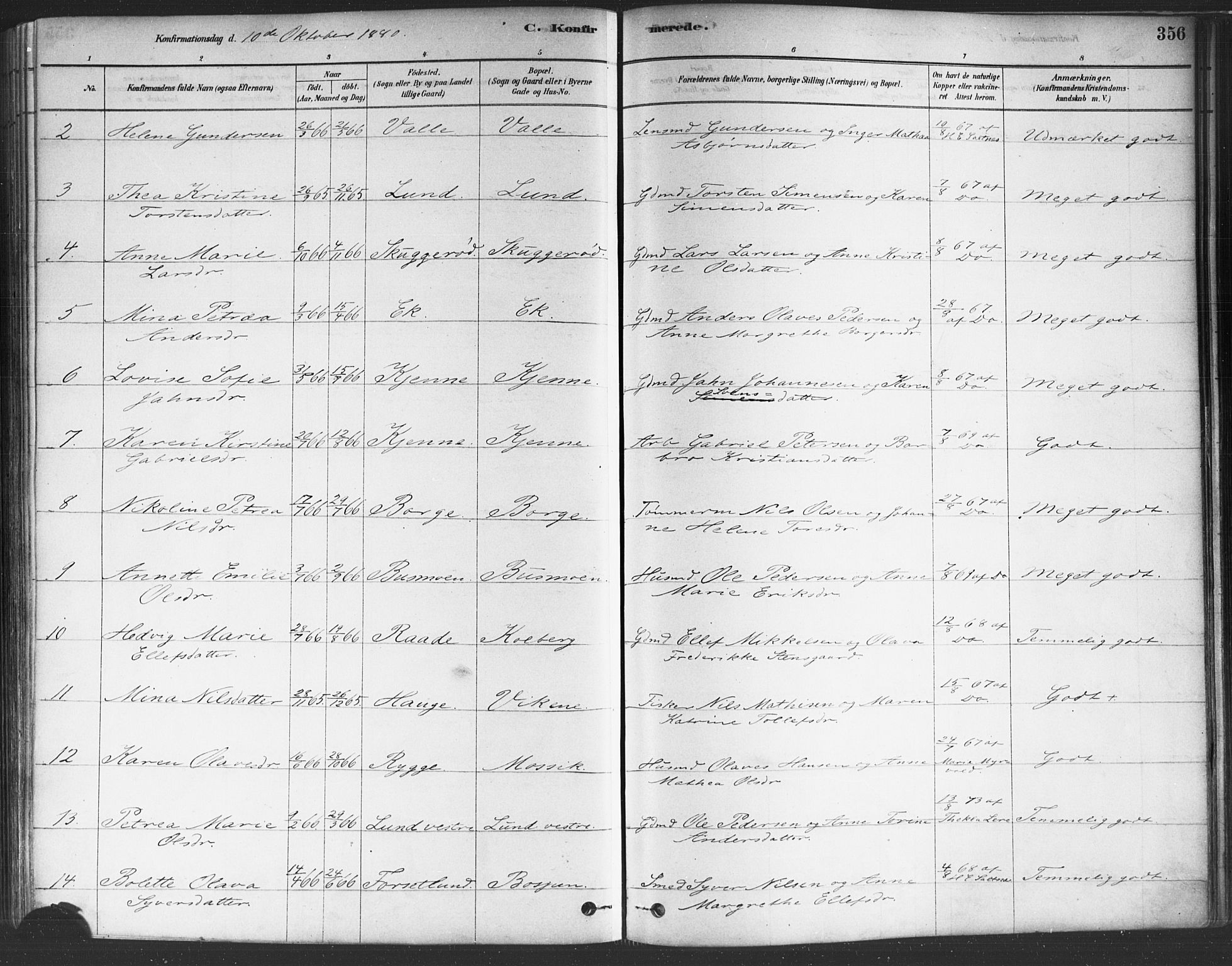 Onsøy prestekontor Kirkebøker, SAO/A-10914/F/Fa/L0005: Parish register (official) no. I 5, 1878-1898, p. 356
