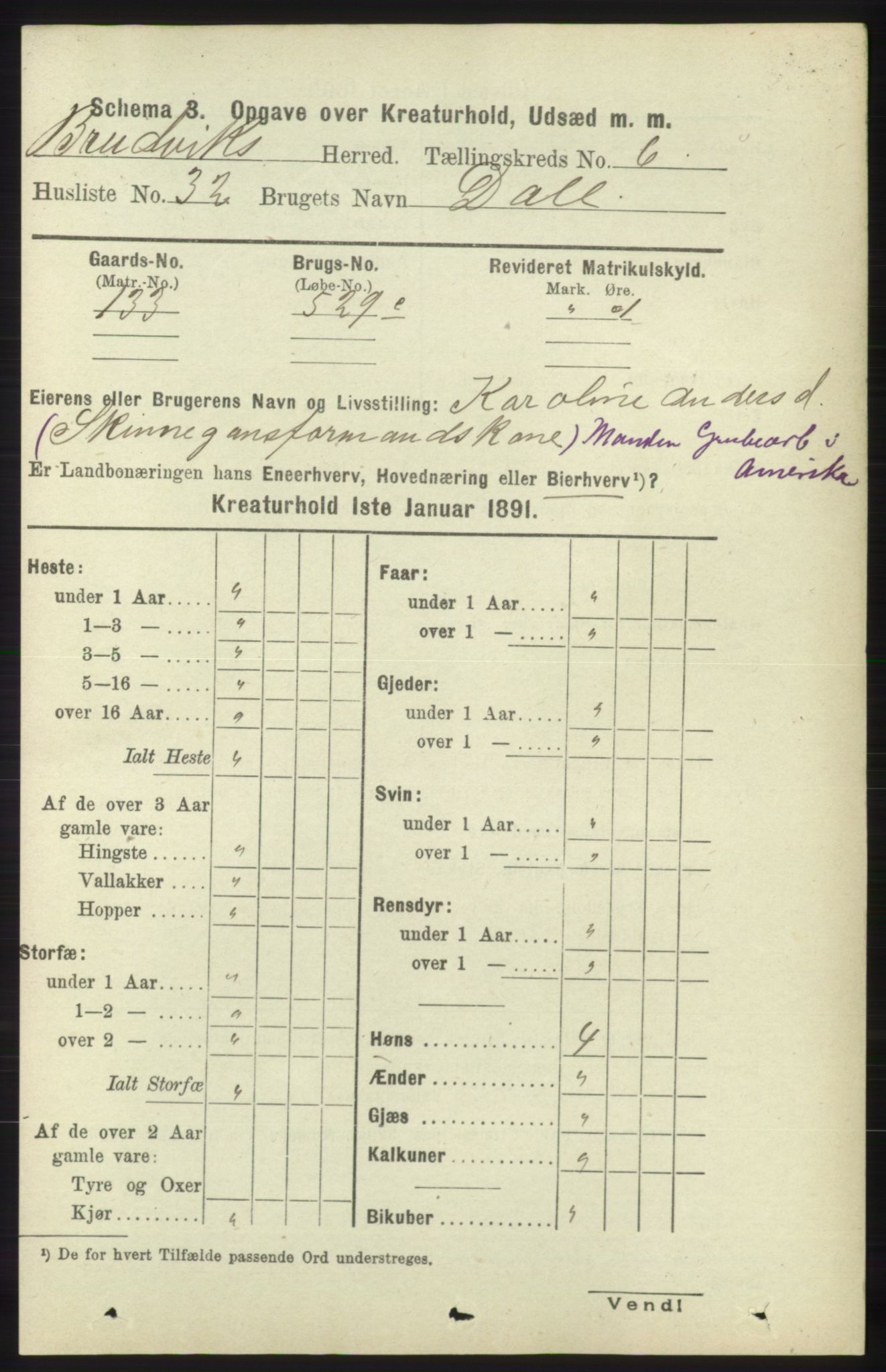 RA, 1891 census for 1251 Bruvik, 1891, p. 4620