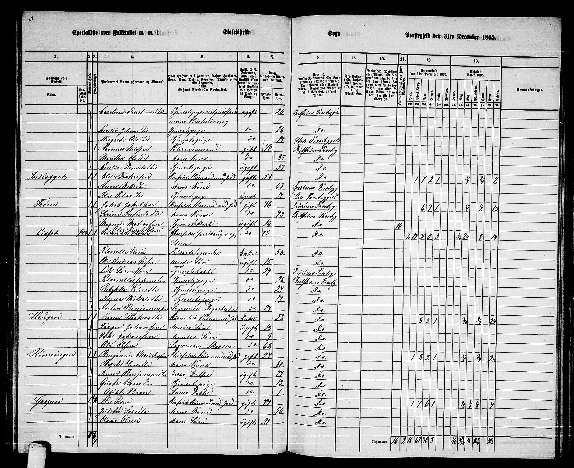 RA, 1865 census for Beitstad, 1865, p. 132